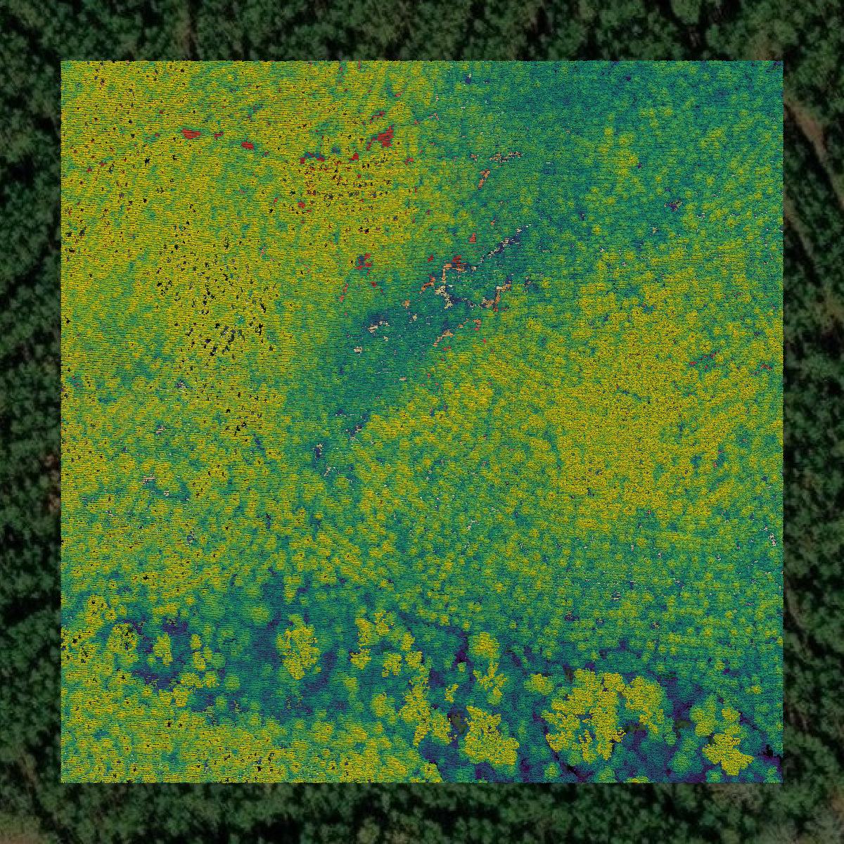 This image shows a LiDAR point cloud in LaSalle Parish created using GIS data in Equator.