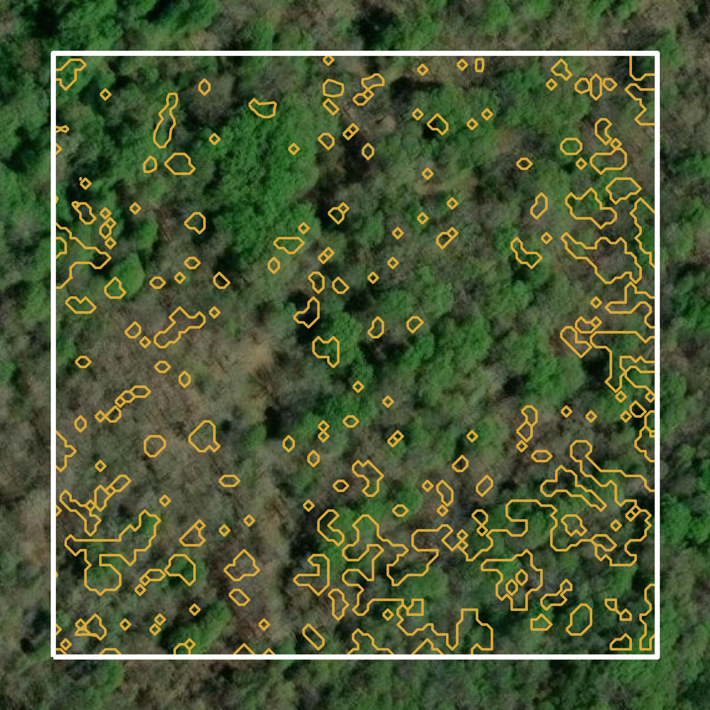 This image shows a contour map in Lincoln Parish created using GIS data in Equator.