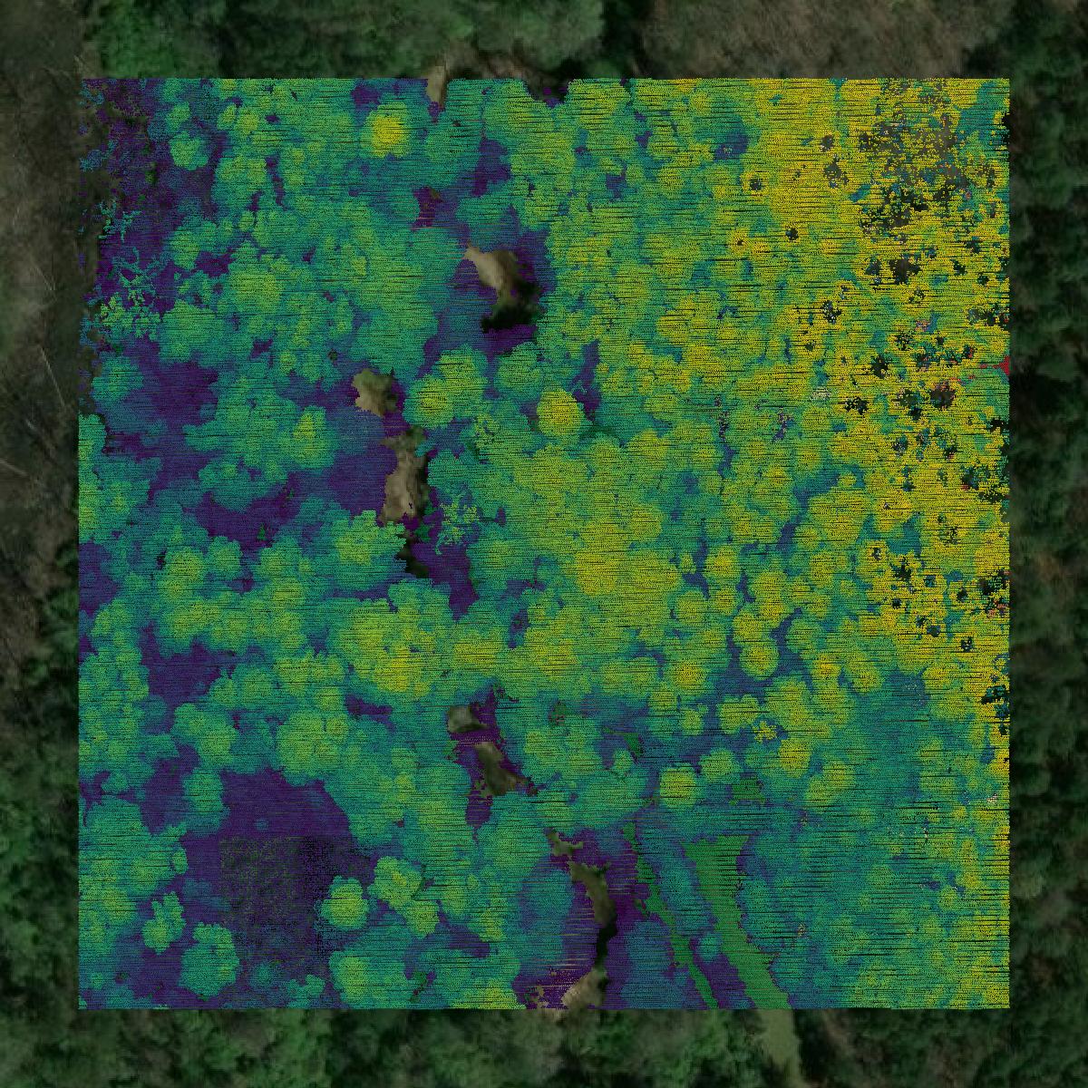 This image shows a LiDAR point cloud in Lincoln Parish created using GIS data in Equator.