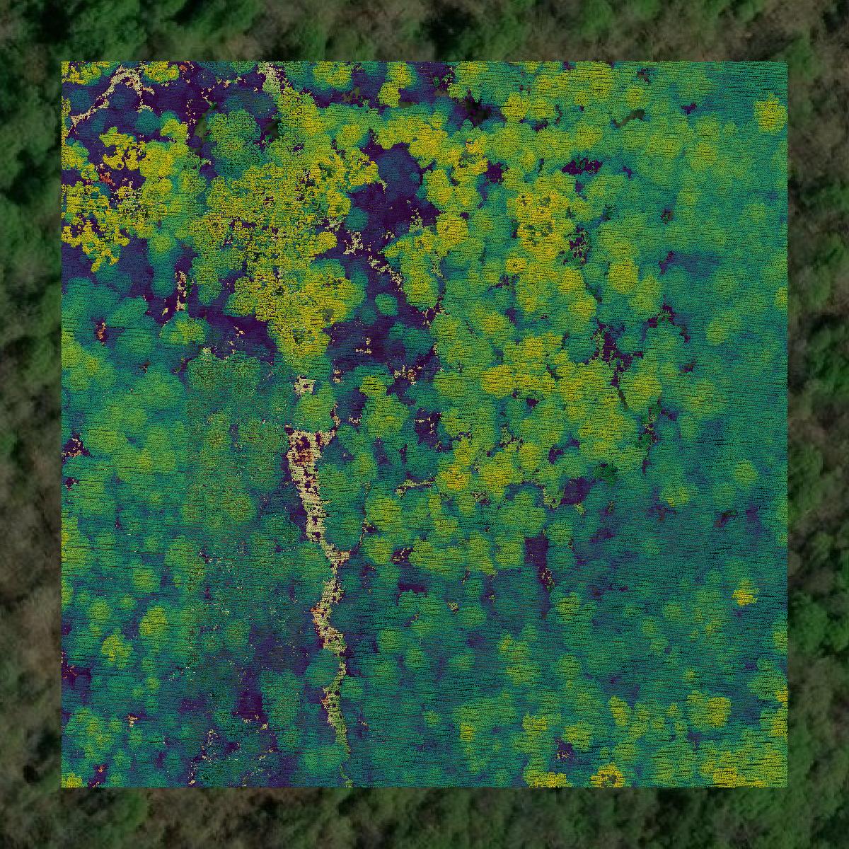 This image shows a LiDAR point cloud in Lincoln Parish created using GIS data in Equator.