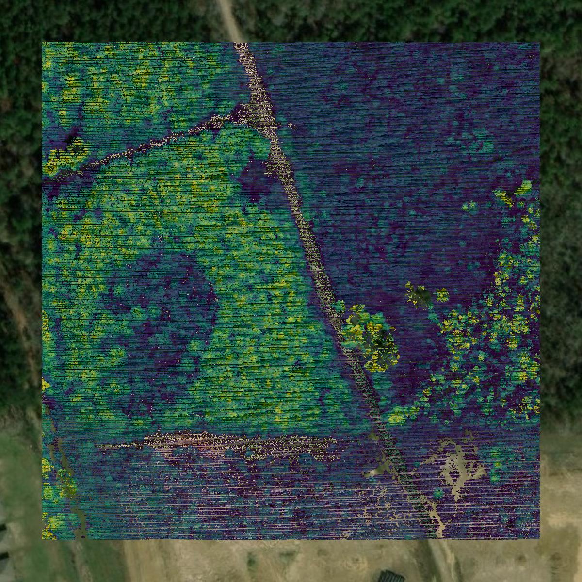 This image shows a LiDAR point cloud in Livingston Parish created using GIS data in Equator.