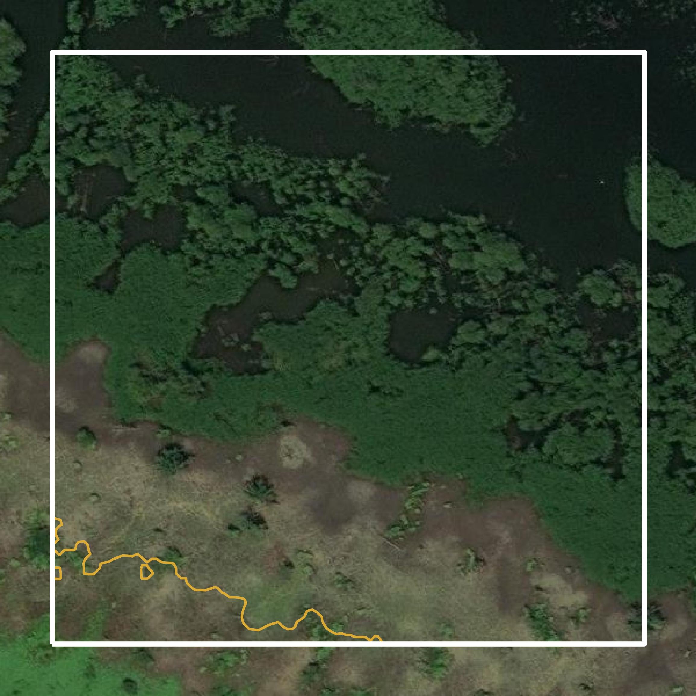 This image shows a contour map in Madison Parish created using GIS data in Equator.