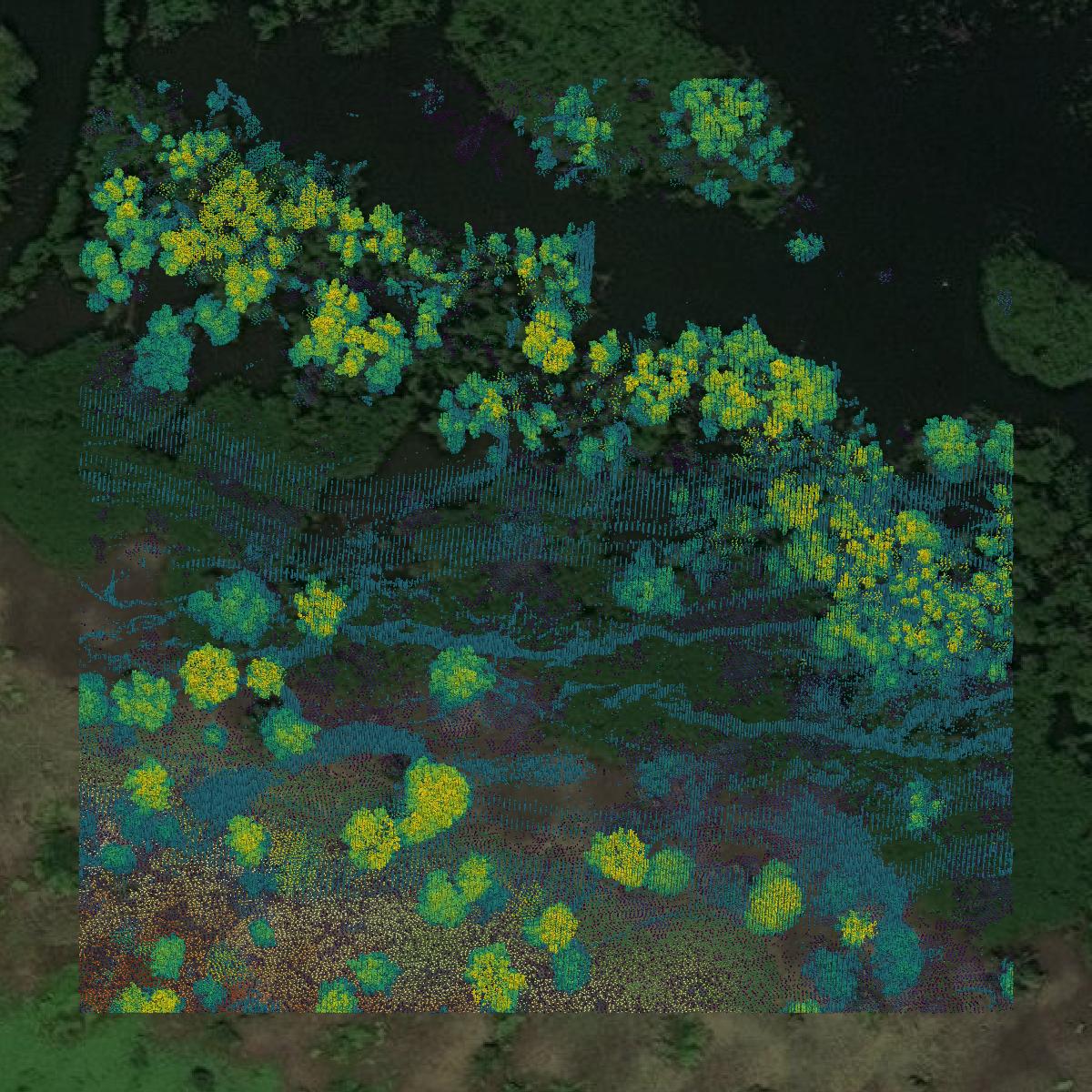 This image shows a LiDAR point cloud in Madison Parish created using GIS data in Equator.