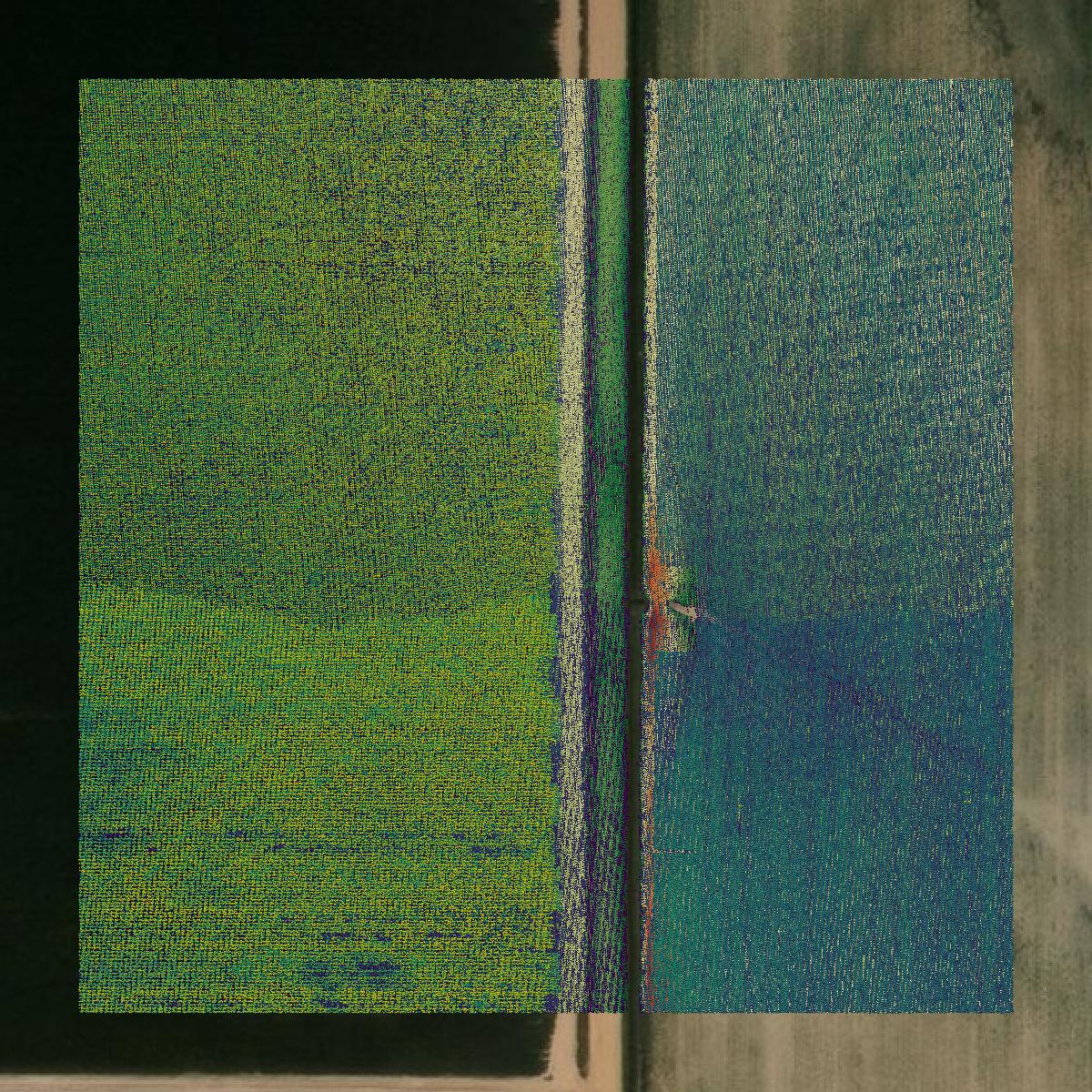 This image shows a LiDAR point cloud in Morehouse Parish created using GIS data in Equator.