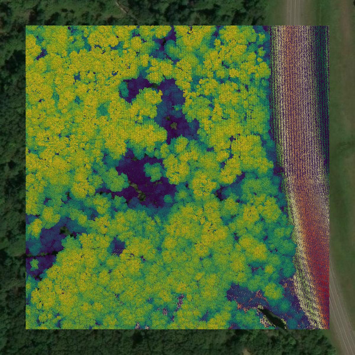This image shows a LiDAR point cloud in Morehouse Parish created using GIS data in Equator.
