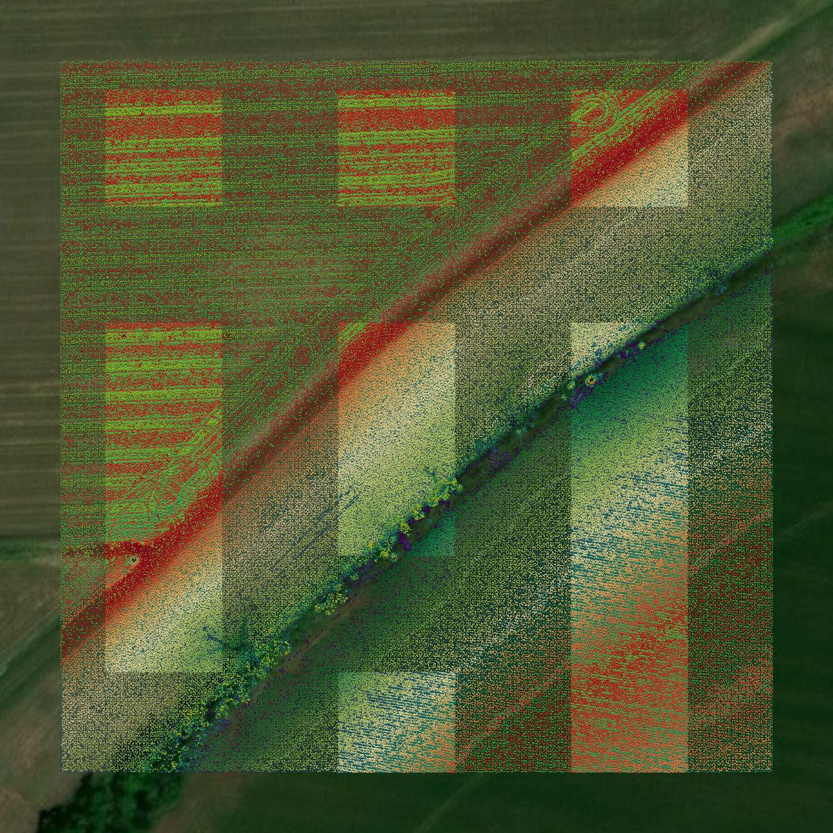 This image shows a LiDAR point cloud in Natchitoches Parish created using GIS data in Equator.