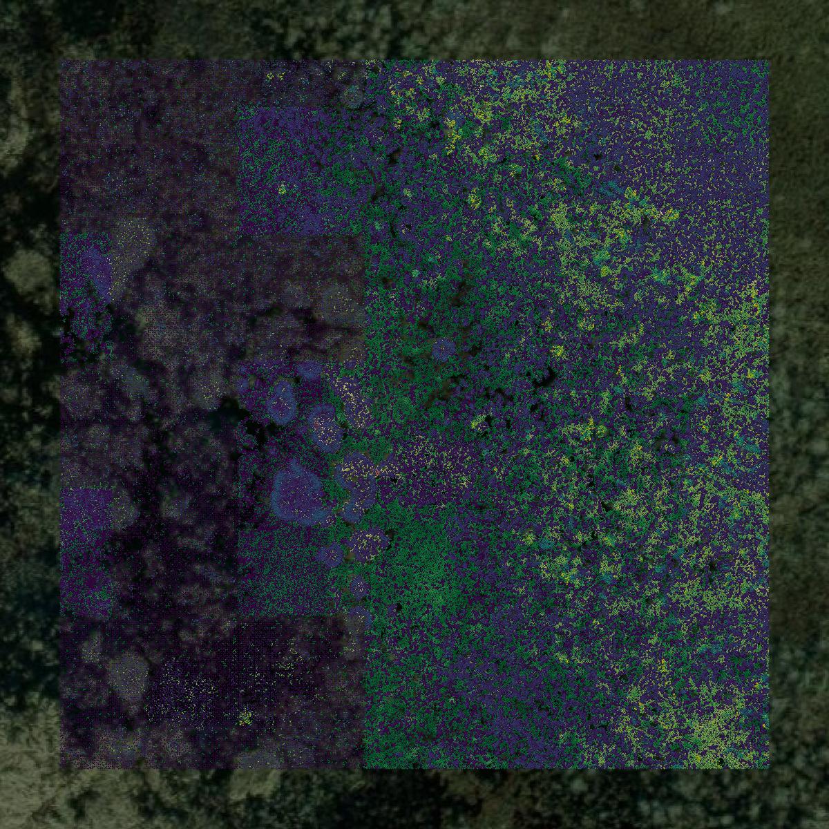 This image shows a LiDAR point cloud in Orleans Parish created using GIS data in Equator.