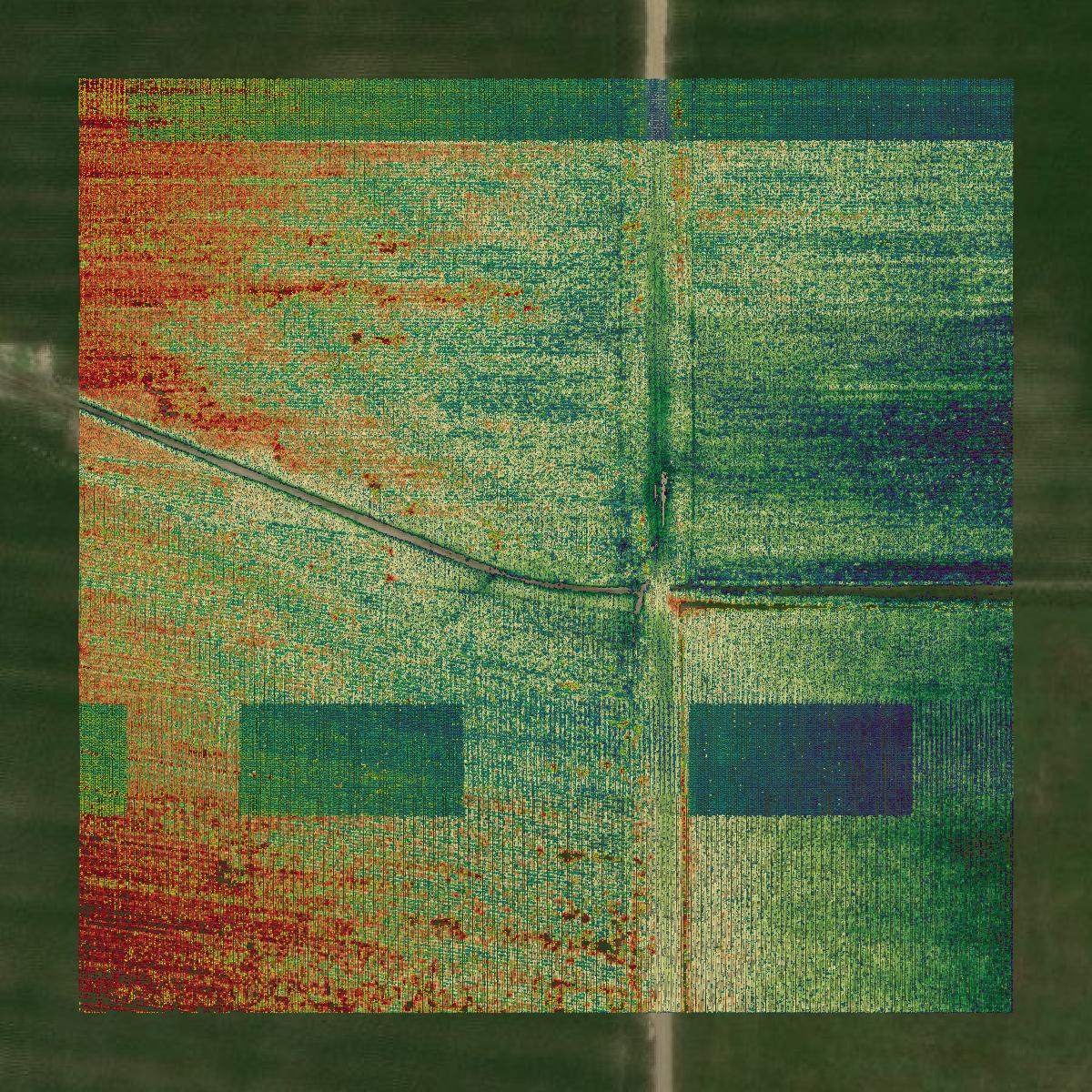 This image shows a LiDAR point cloud in Ouachita Parish created using GIS data in Equator.