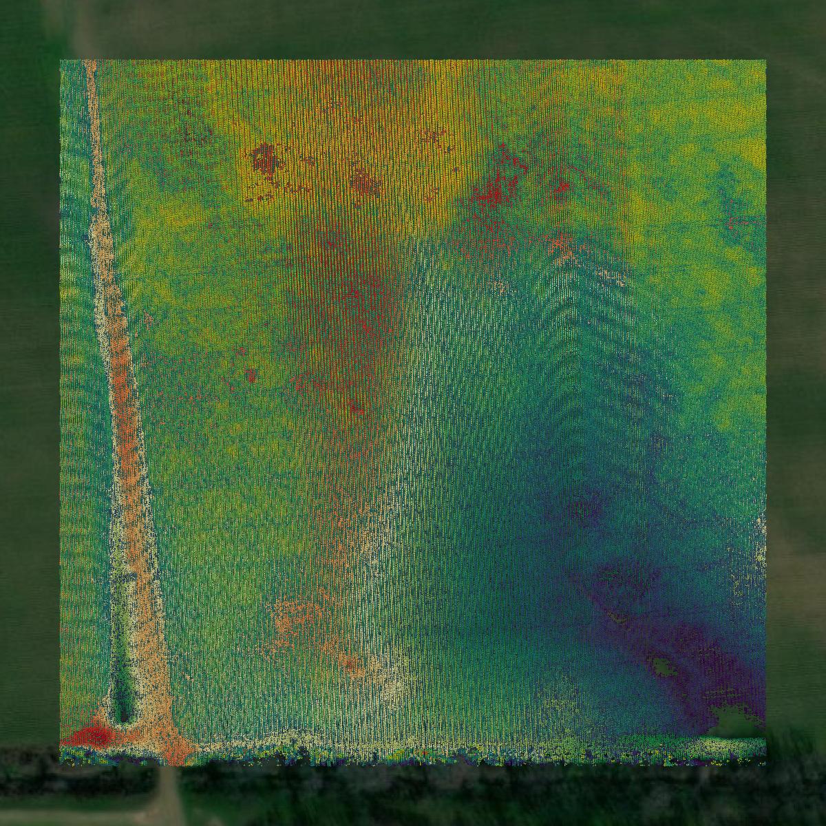This image shows a LiDAR point cloud in Ouachita Parish created using GIS data in Equator.