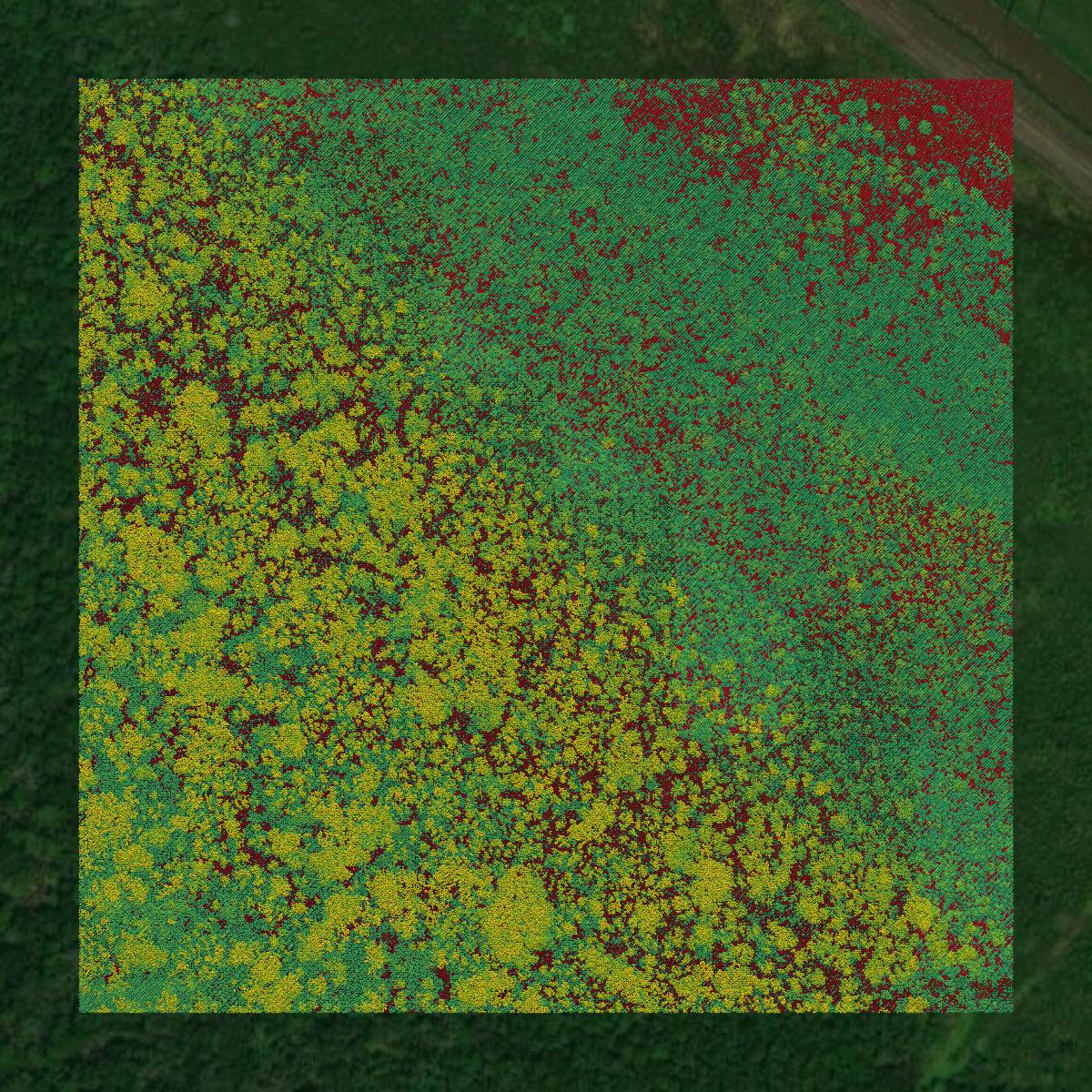 This image shows a LiDAR point cloud in Plaquemines Parish created using GIS data in Equator.