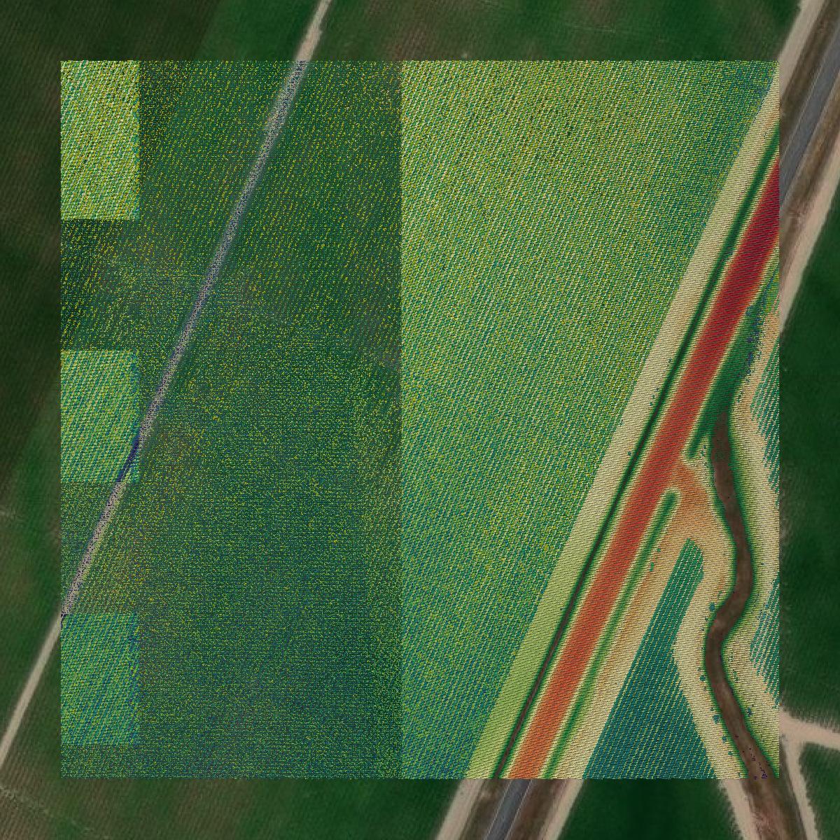 This image shows a LiDAR point cloud in Pointe Coupee Parish created using GIS data in Equator.