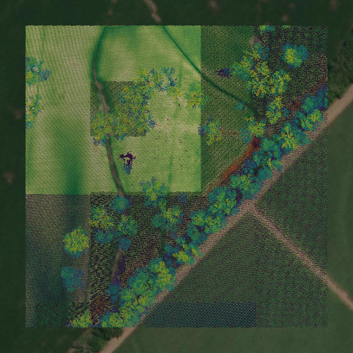 This image shows a LiDAR point cloud in Pointe Coupee Parish created using GIS data in Equator.