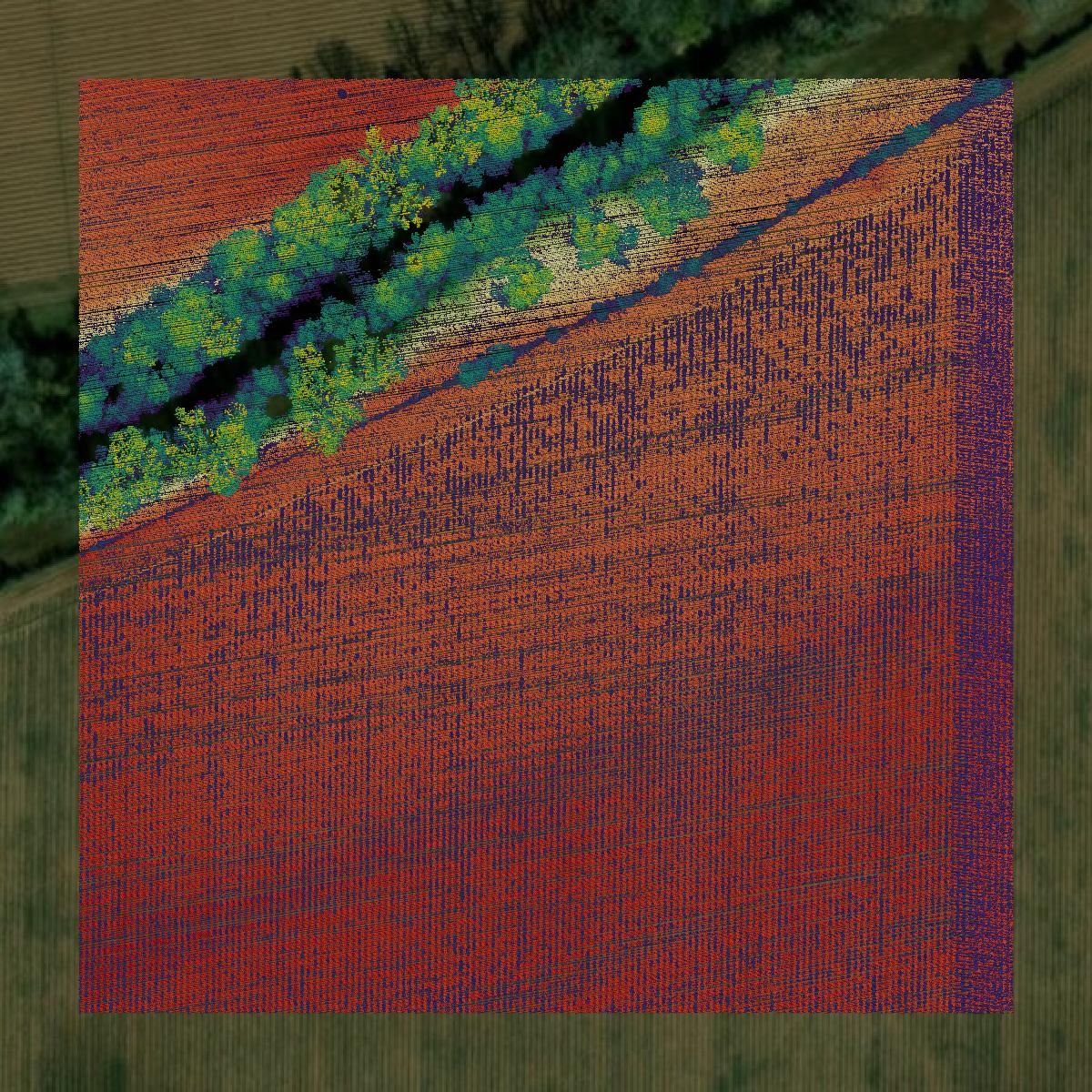 This image shows a LiDAR point cloud in Rapides Parish created using GIS data in Equator.