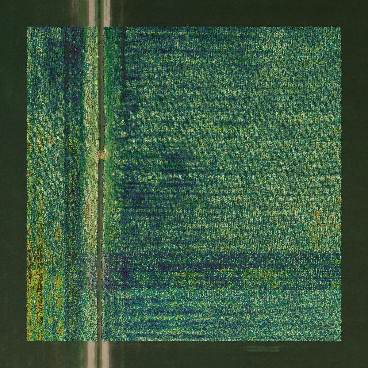 This image shows a LiDAR point cloud in Richland Parish created using GIS data in Equator.