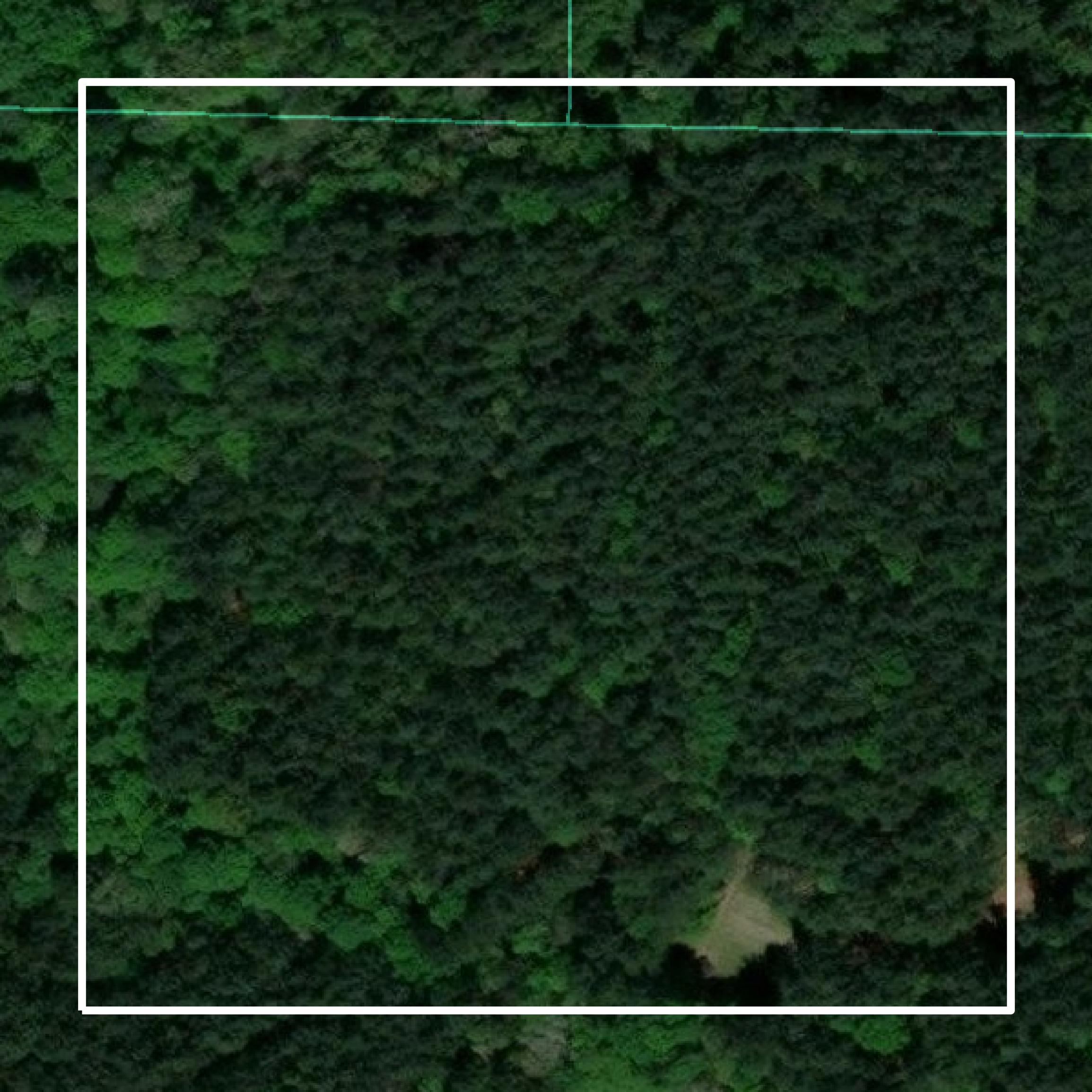 This image shows parcel and building data in Sabine Parish created using GIS data in Equator.