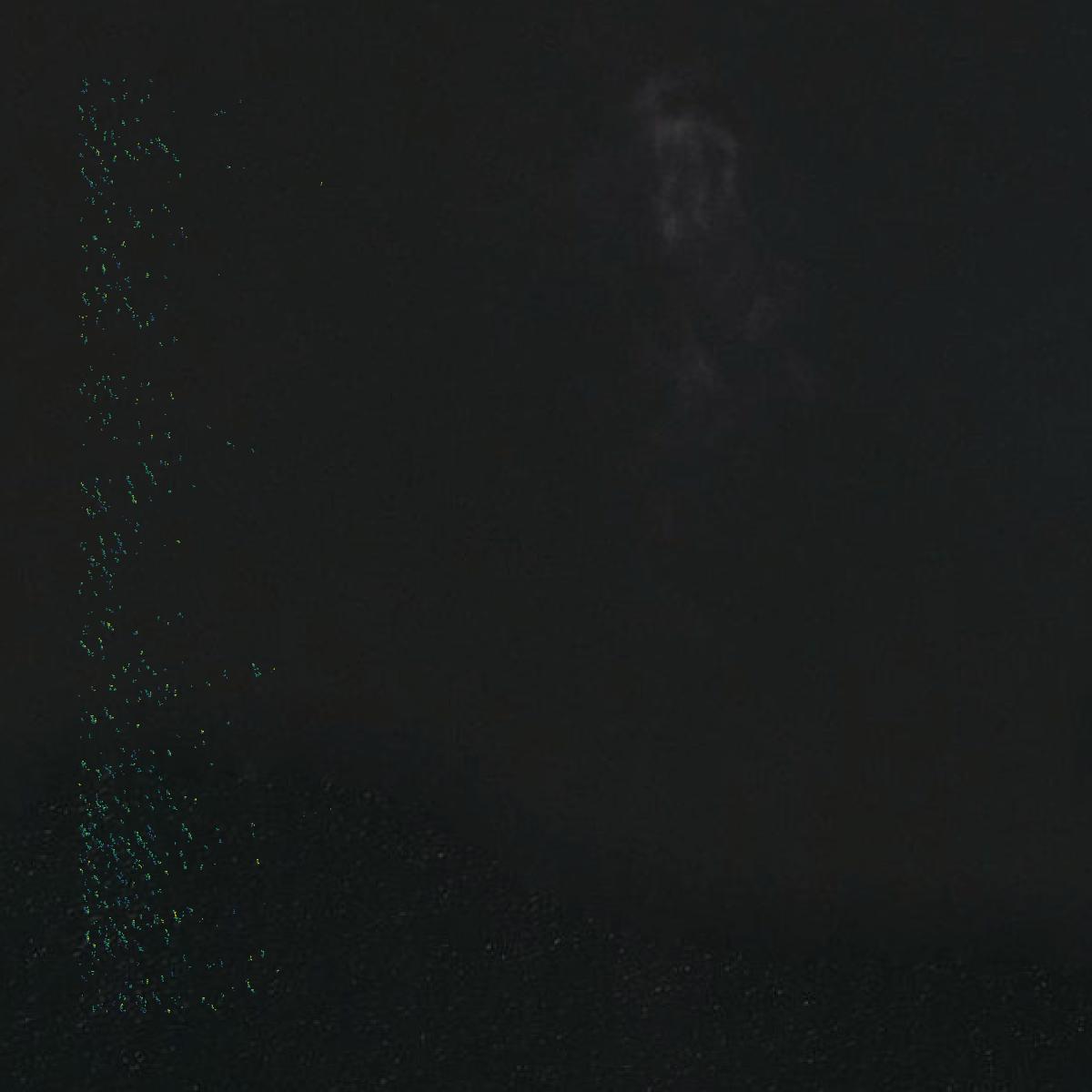 This image shows a LiDAR point cloud in Sabine Parish created using GIS data in Equator.