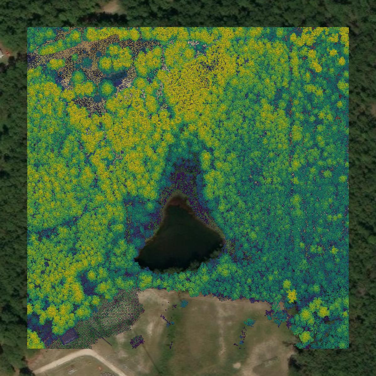 This image shows a LiDAR point cloud in Sabine Parish created using GIS data in Equator.