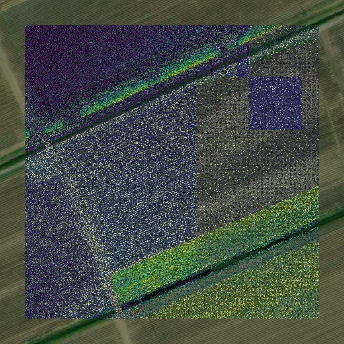 This image shows a LiDAR point cloud in St. James Parish created using GIS data in Equator.