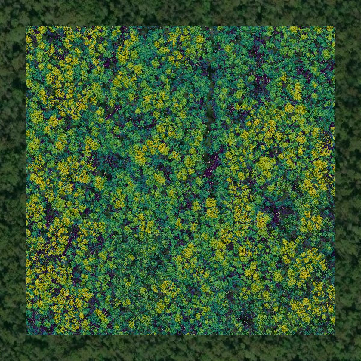 This image shows a LiDAR point cloud in St. John the Baptist Parish created using GIS data in Equator.