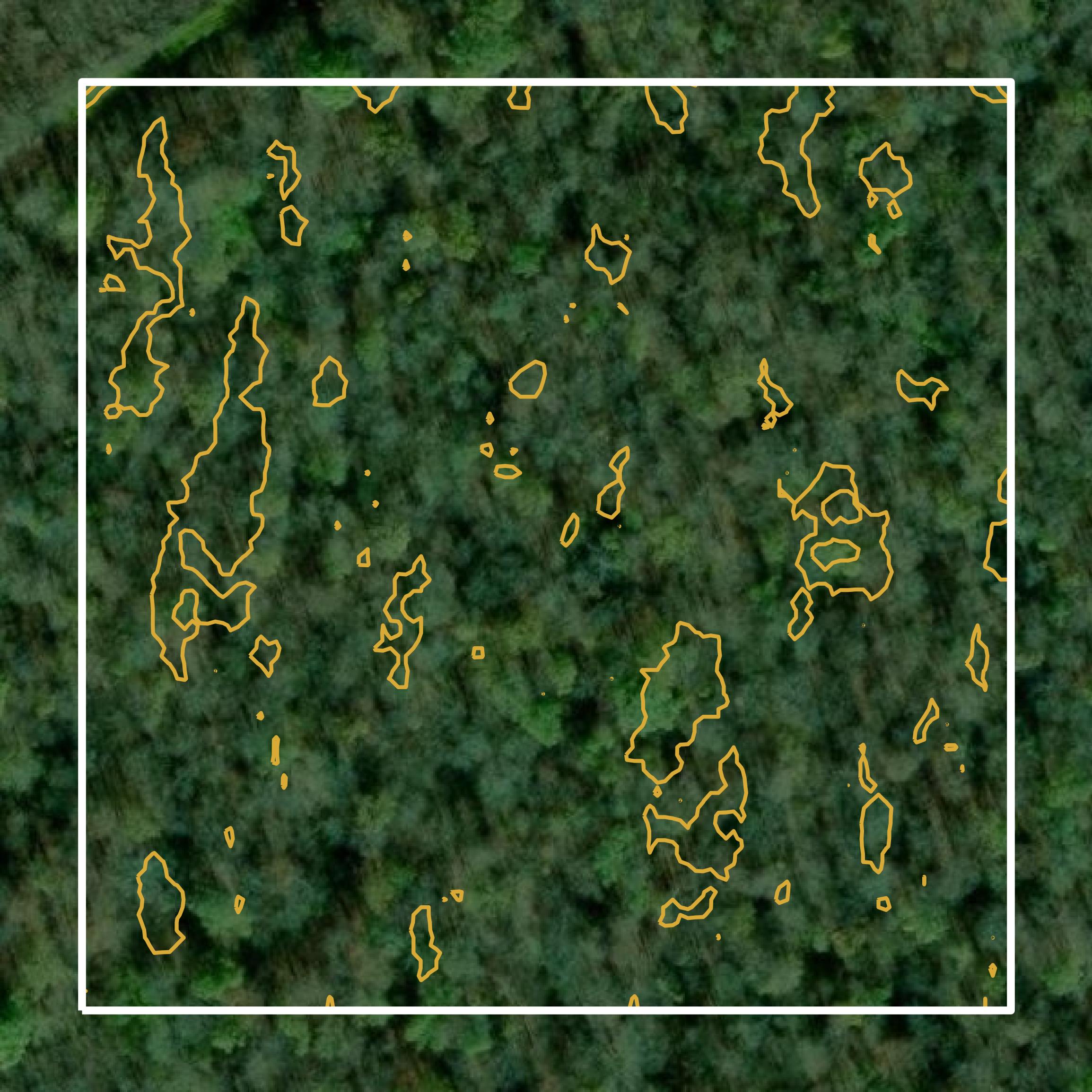 This image shows a contour map in St. Landry Parish created using GIS data in Equator.