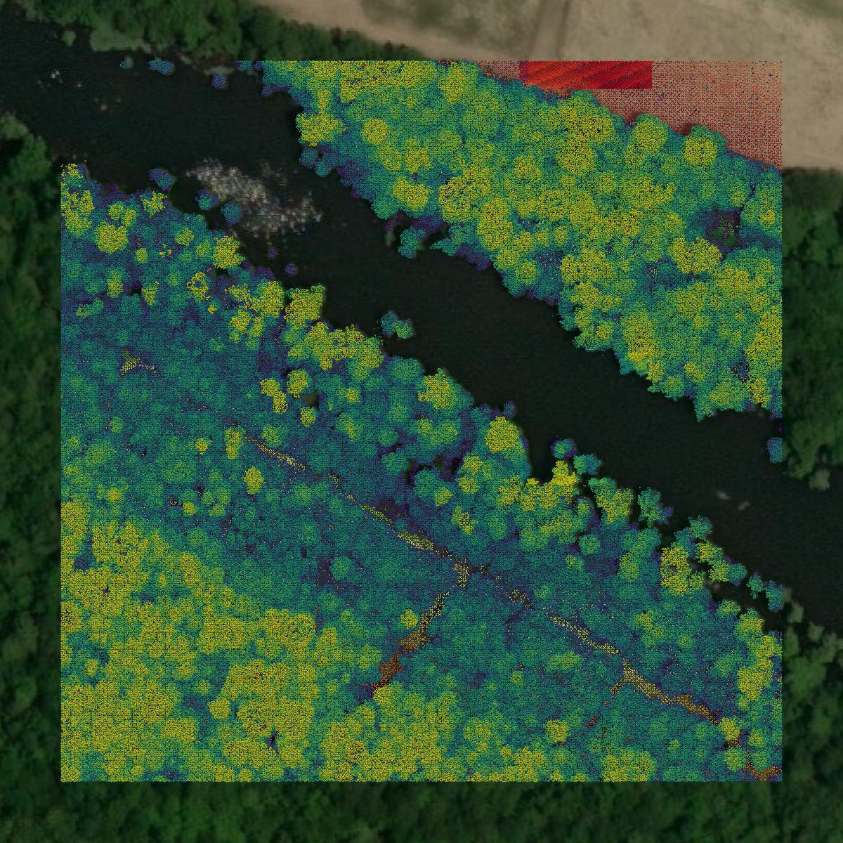 This image shows a LiDAR point cloud in St. Landry Parish created using GIS data in Equator.