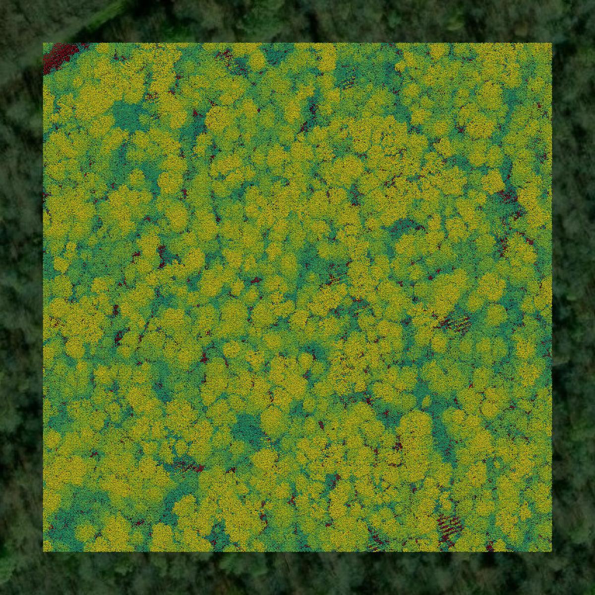 This image shows a LiDAR point cloud in St. Landry Parish created using GIS data in Equator.