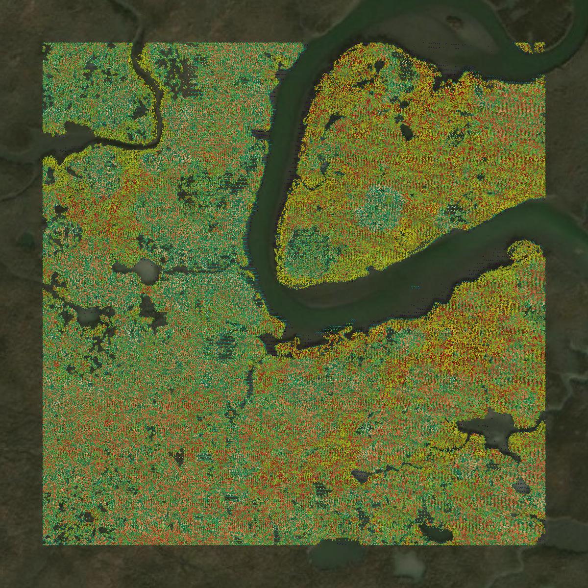 This image shows a LiDAR point cloud in St. Tammany Parish created using GIS data in Equator.