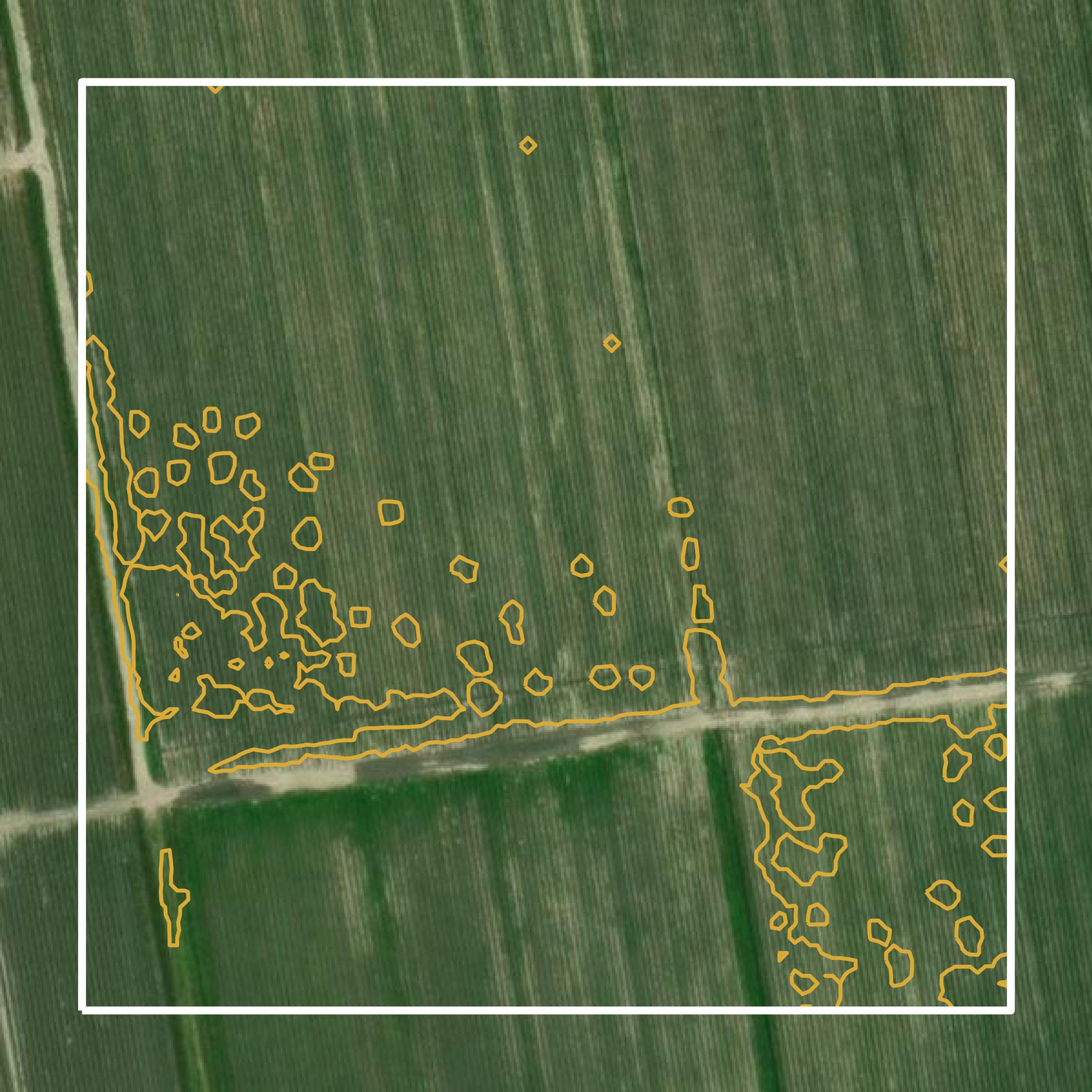This image shows a contour map in St. James Parish created using GIS data in Equator.