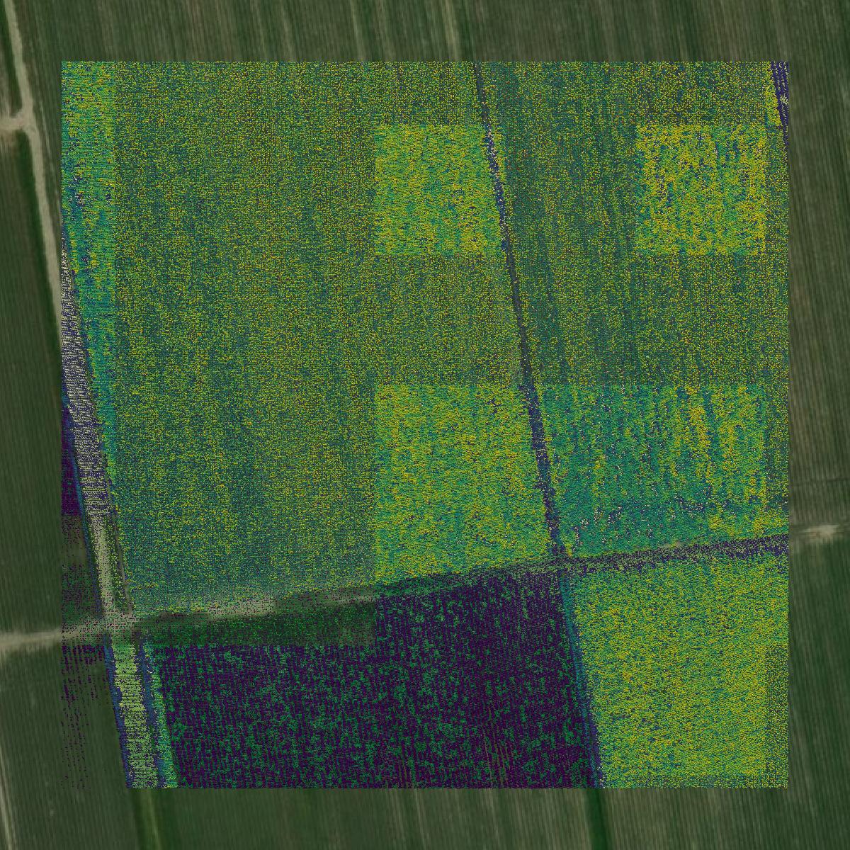 This image shows a LiDAR point cloud in St. James Parish created using GIS data in Equator.