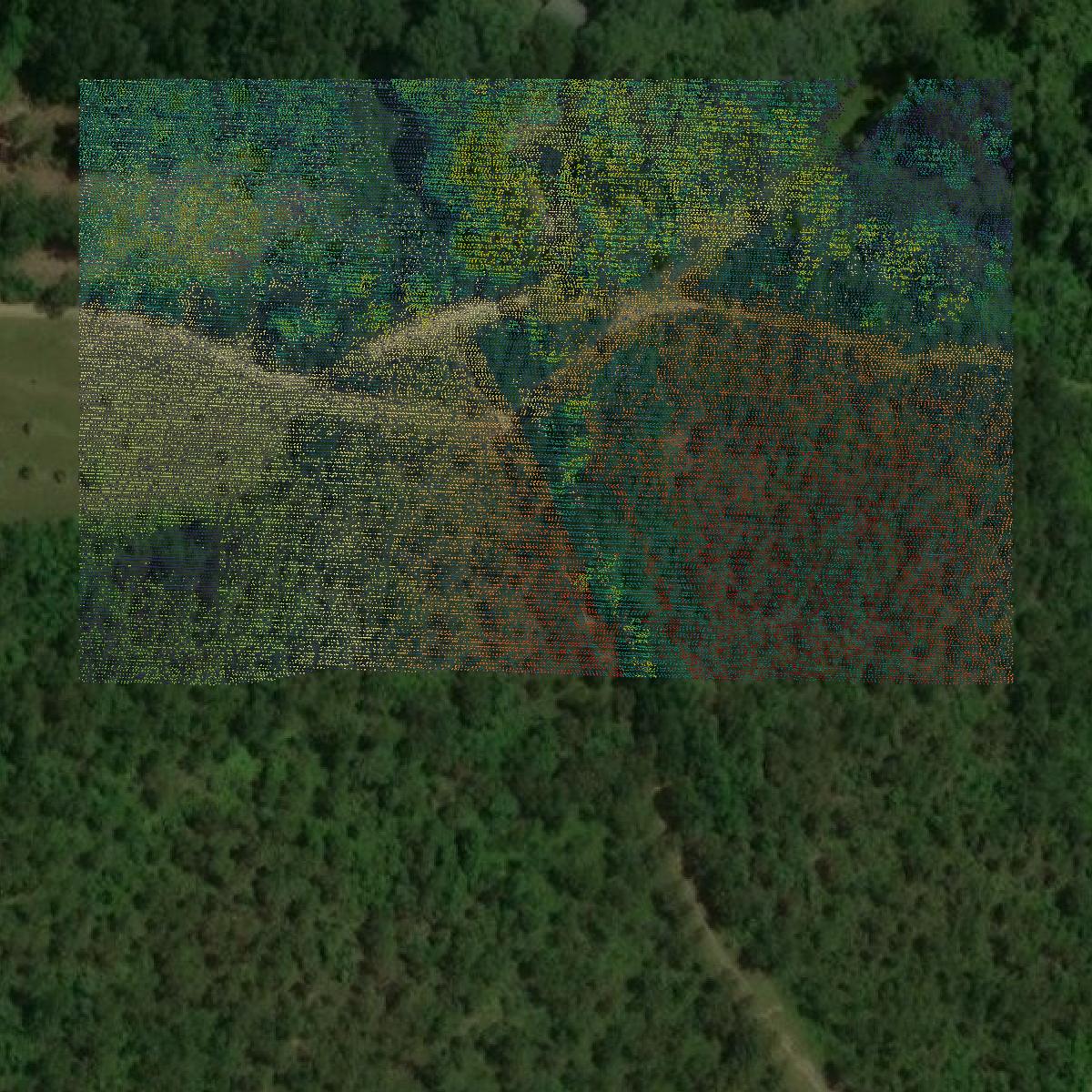 This image shows a LiDAR point cloud in Tangipahoa Parish created using GIS data in Equator.