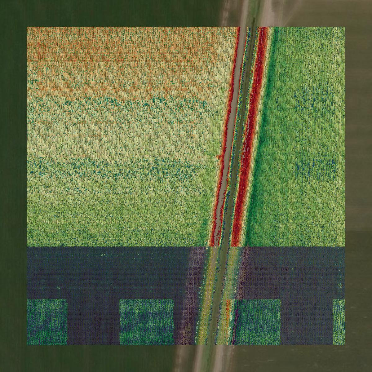 This image shows a LiDAR point cloud in Tensas Parish created using GIS data in Equator.