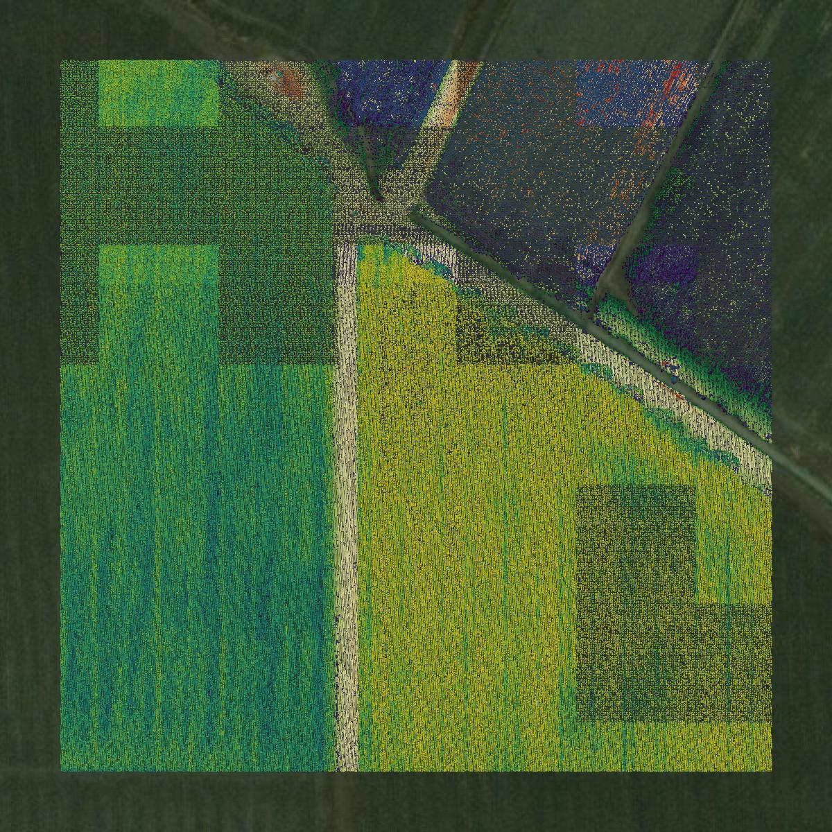 This image shows a LiDAR point cloud in Tensas Parish created using GIS data in Equator.