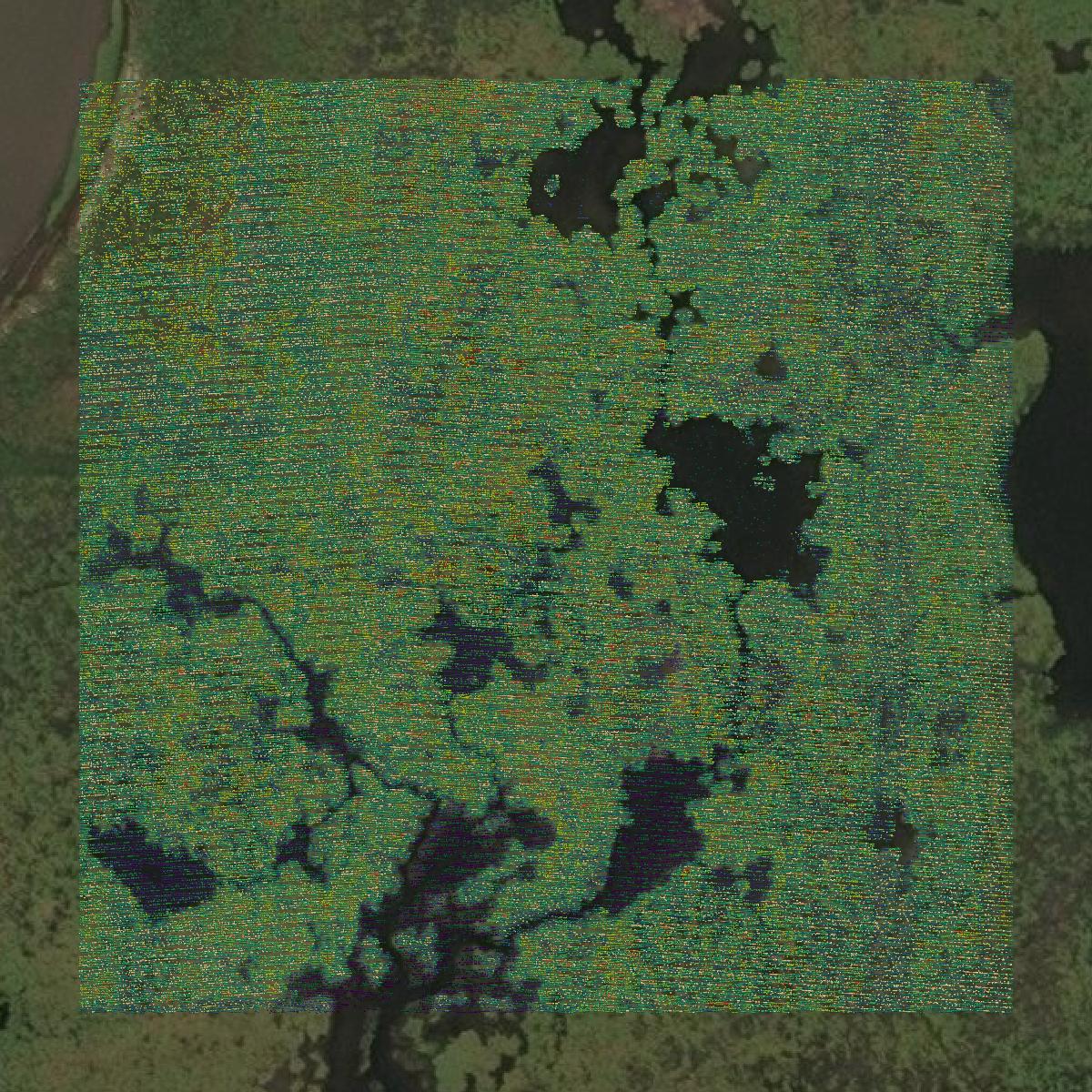 This image shows a LiDAR point cloud in Terrebonne Parish created using GIS data in Equator.