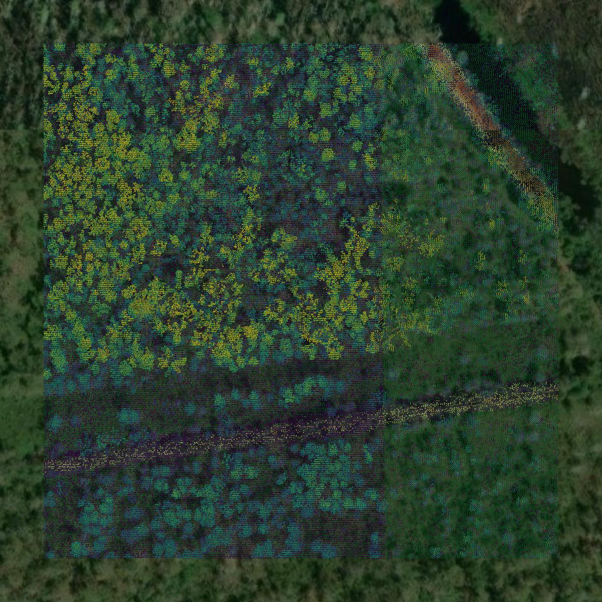 This image shows a LiDAR point cloud in Terrebonne Parish created using GIS data in Equator.