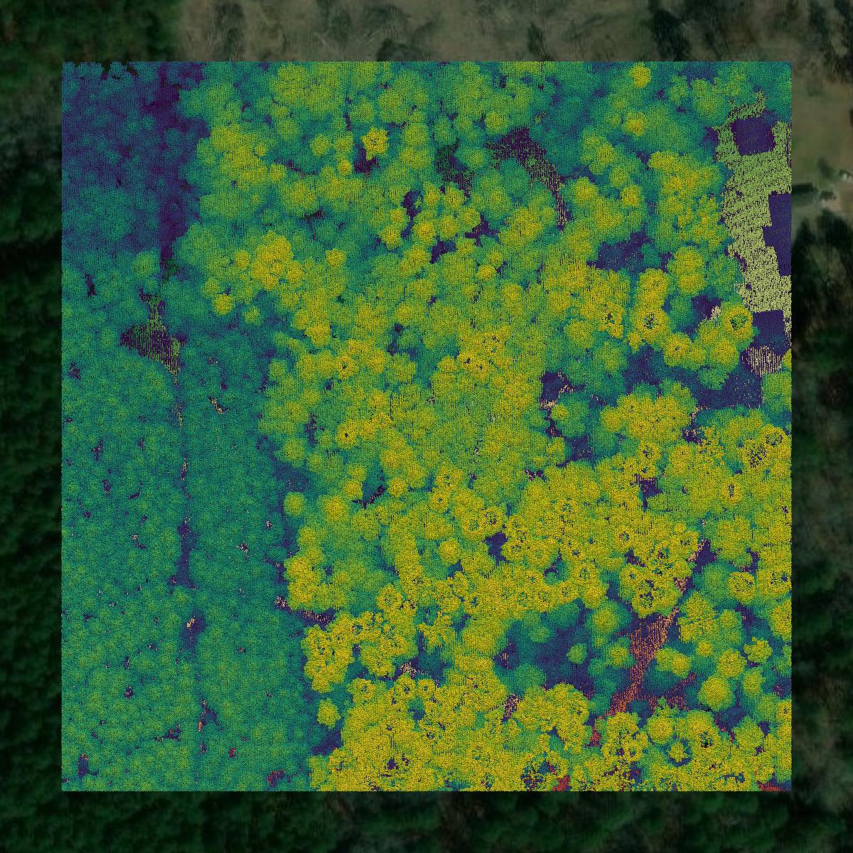 This image shows a LiDAR point cloud in Union Parish created using GIS data in Equator.