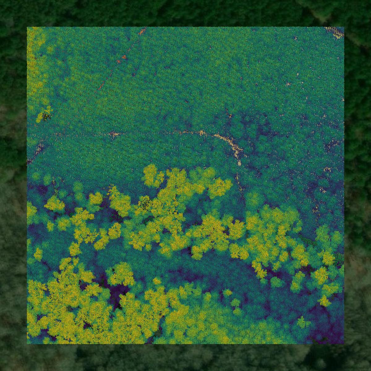 This image shows a LiDAR point cloud in Union Parish created using GIS data in Equator.