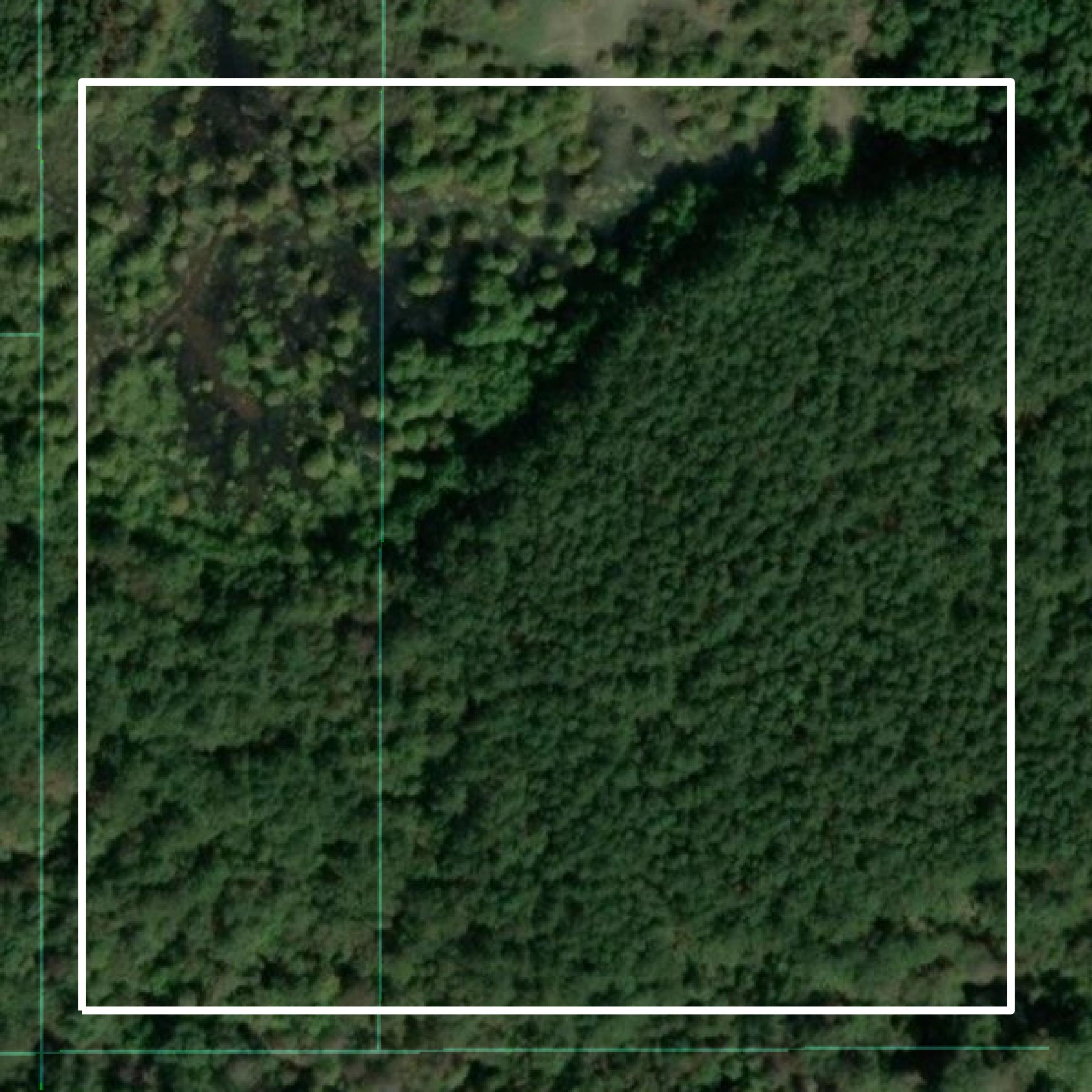This image shows parcel and building data in Vernon Parish created using GIS data in Equator.