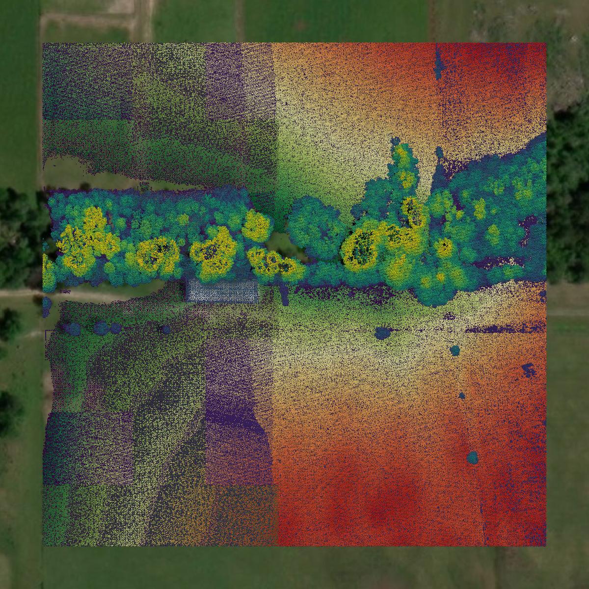 This image shows a LiDAR point cloud in Vernon Parish created using GIS data in Equator.