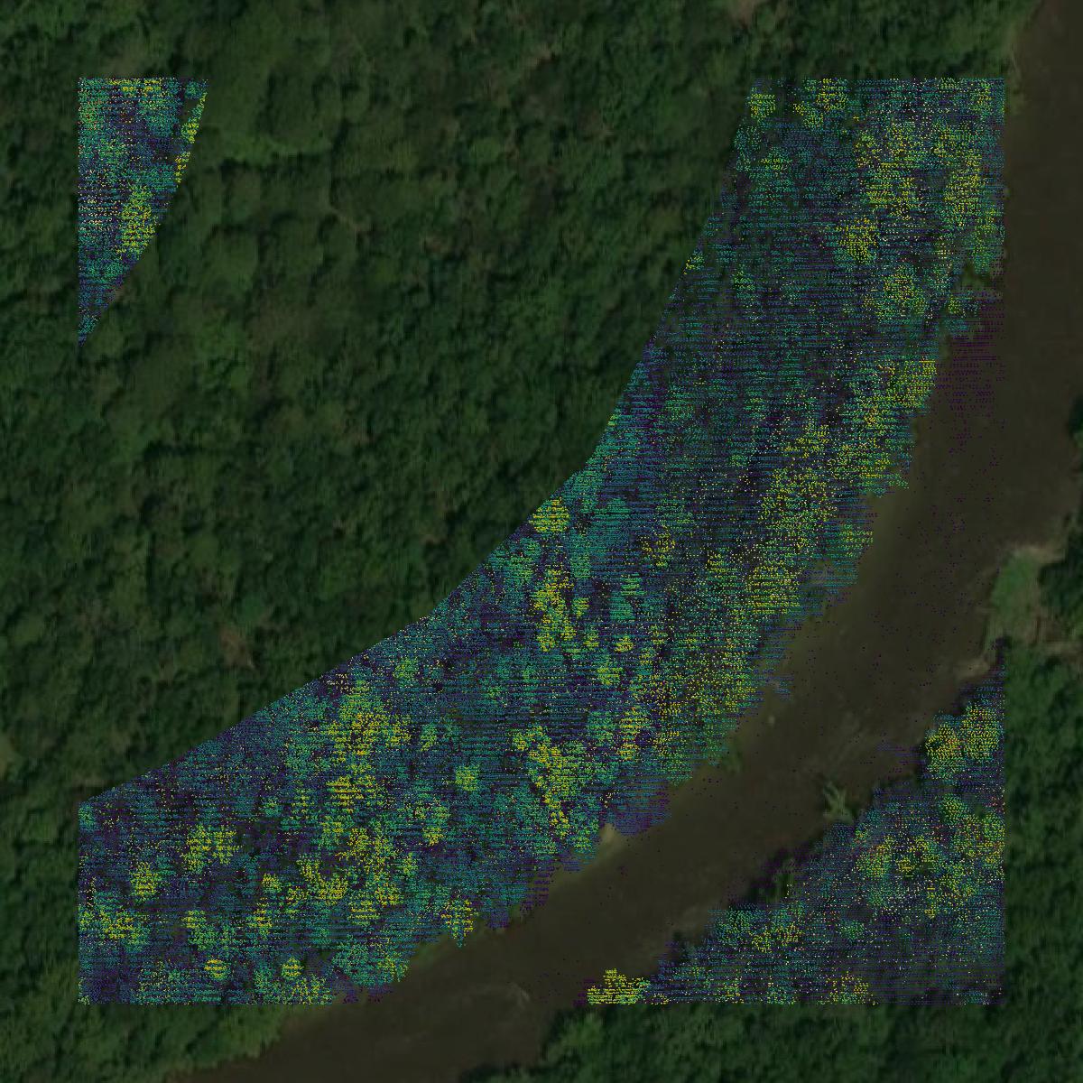 This image shows a LiDAR point cloud in Washington Parish created using GIS data in Equator.