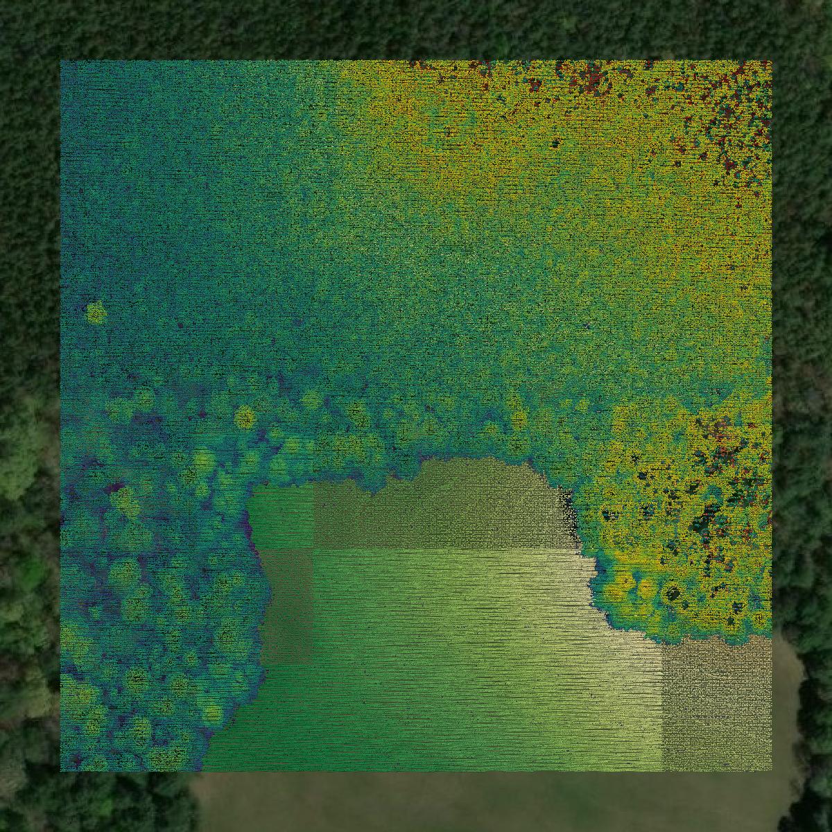 This image shows a LiDAR point cloud in Webster Parish created using GIS data in Equator.