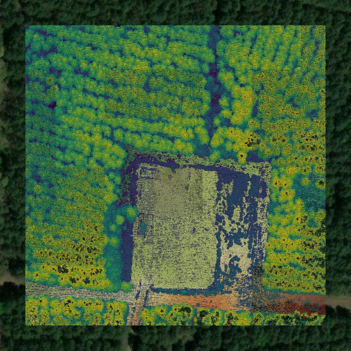 This image shows a LiDAR point cloud in Webster Parish created using GIS data in Equator.