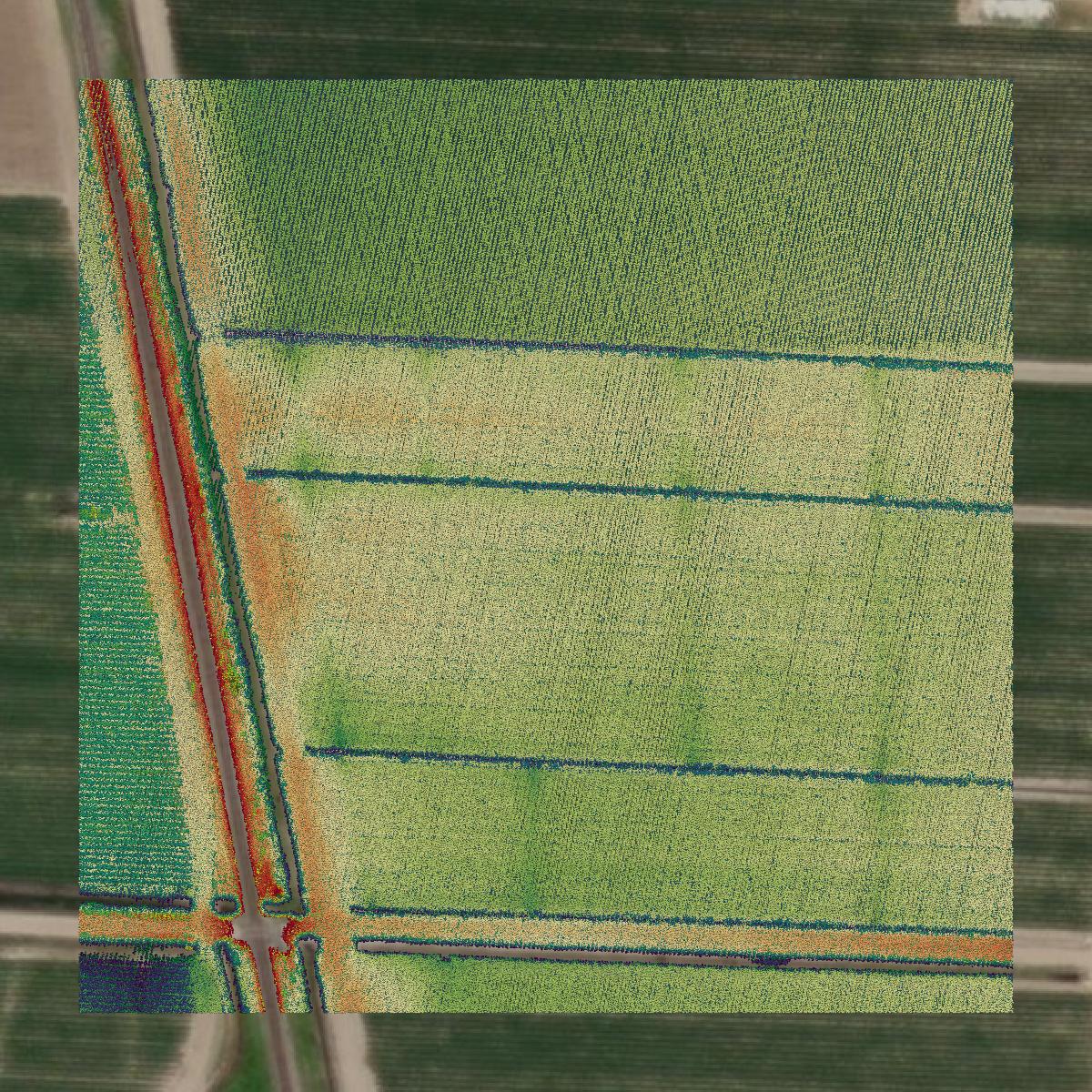 This image shows a LiDAR point cloud in West Baton Rouge Parish created using GIS data in Equator.