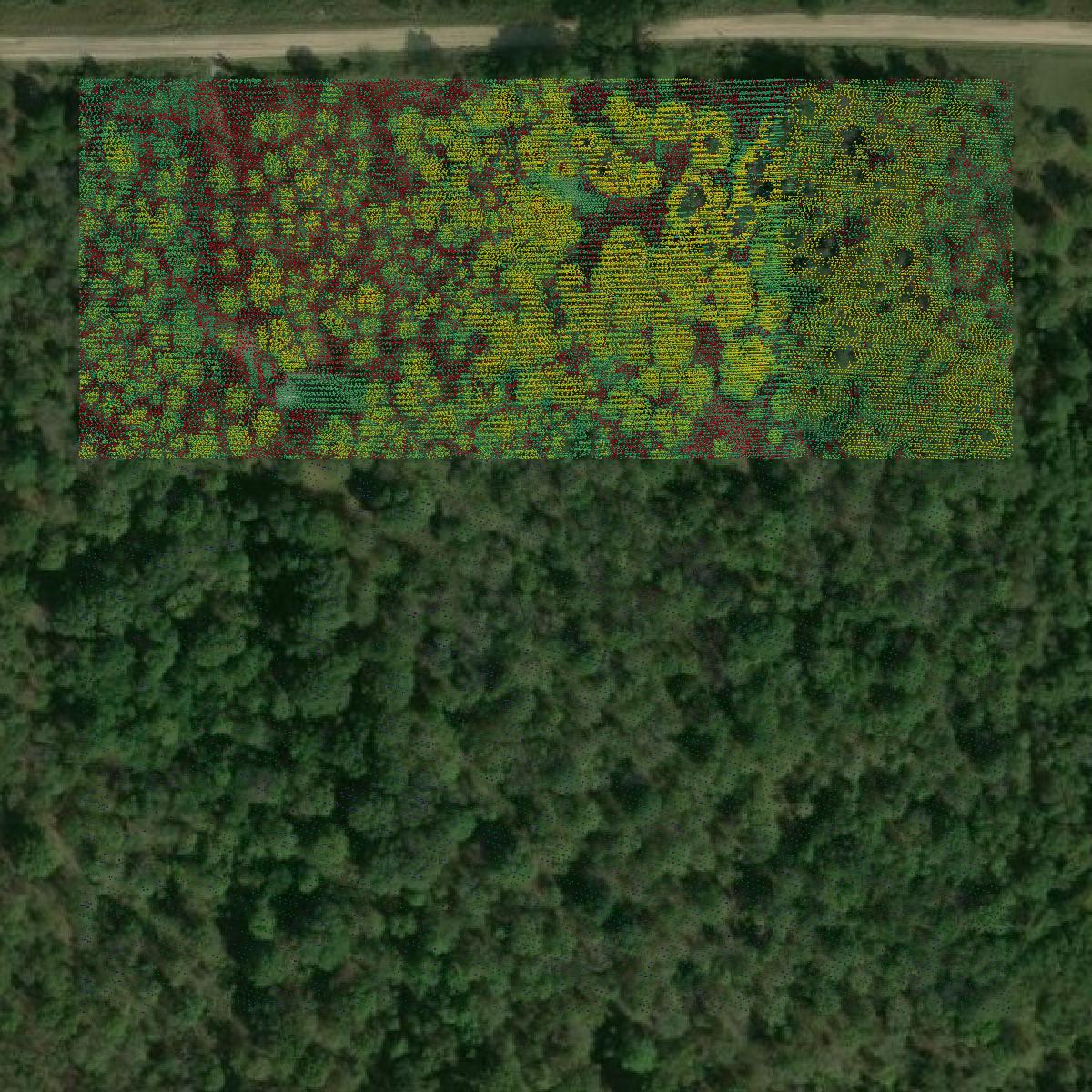 This image shows a LiDAR point cloud in West Carroll Parish created using GIS data in Equator.