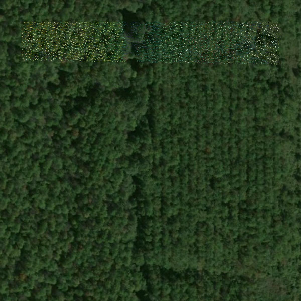 This image shows a LiDAR point cloud in West Carroll Parish created using GIS data in Equator.