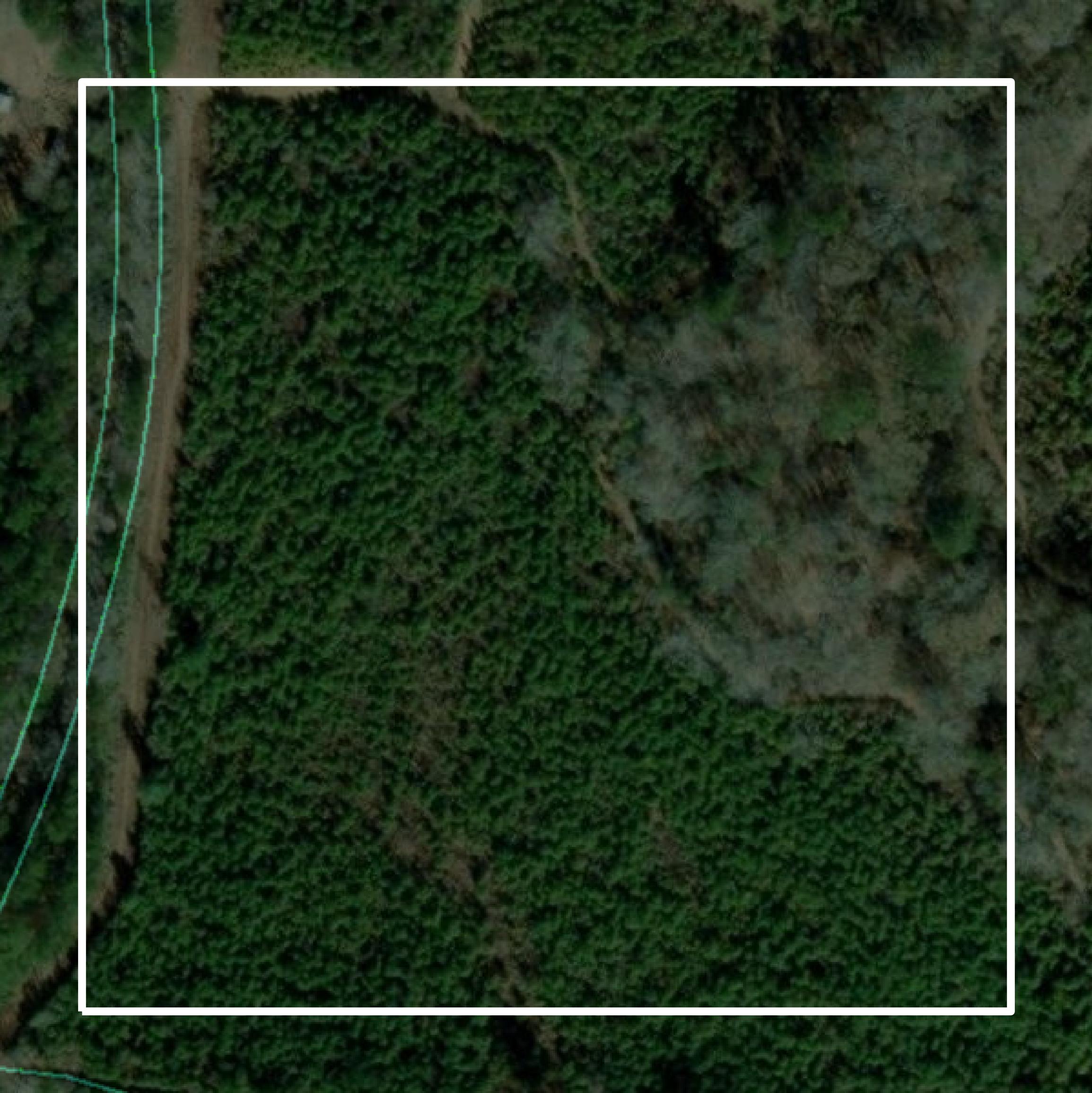 This image shows parcel and building data in West Feliciana Parish created using GIS data in Equator.