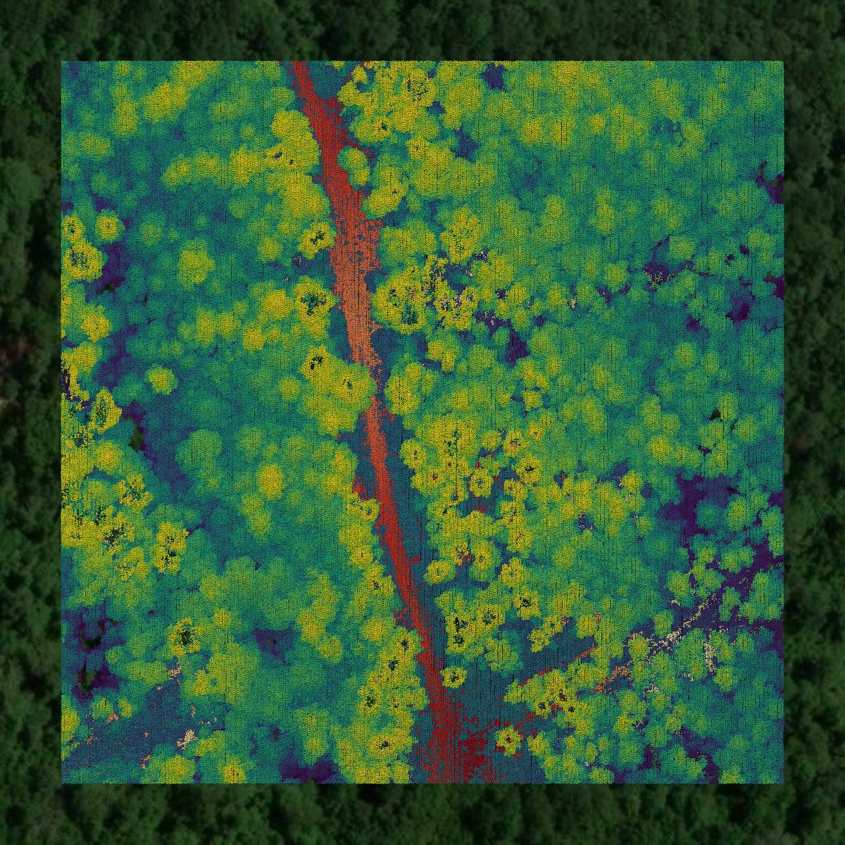 This image shows a LiDAR point cloud in West Feliciana Parish created using GIS data in Equator.