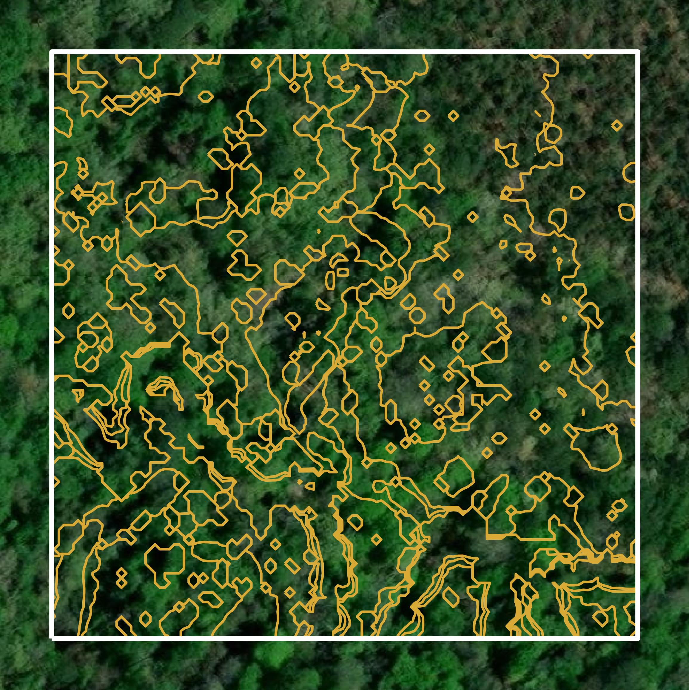 This image shows a contour map in Winn Parish created using GIS data in Equator.