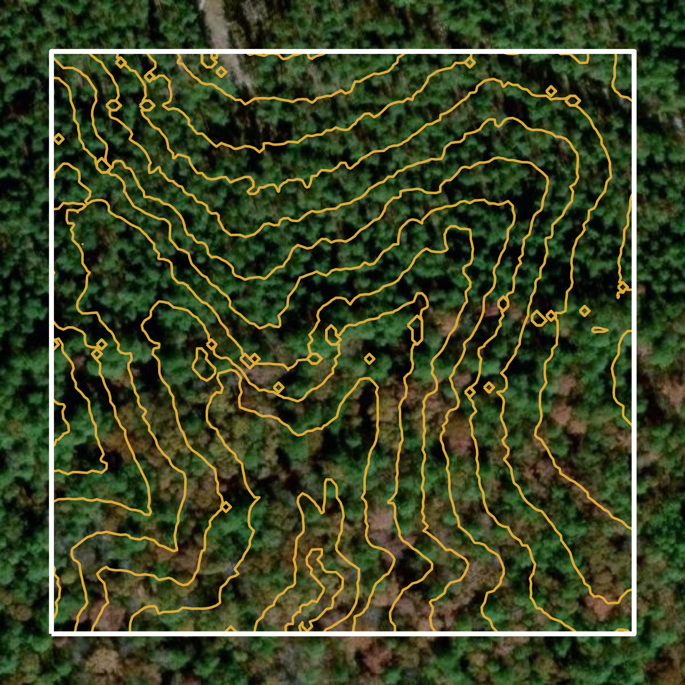 This image shows a contour map in Winn Parish created using GIS data in Equator.