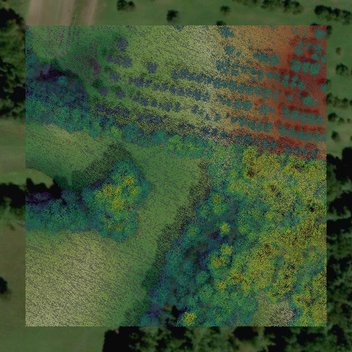 This image shows a LiDAR point cloud in Androscoggin County created using GIS data in Equator.