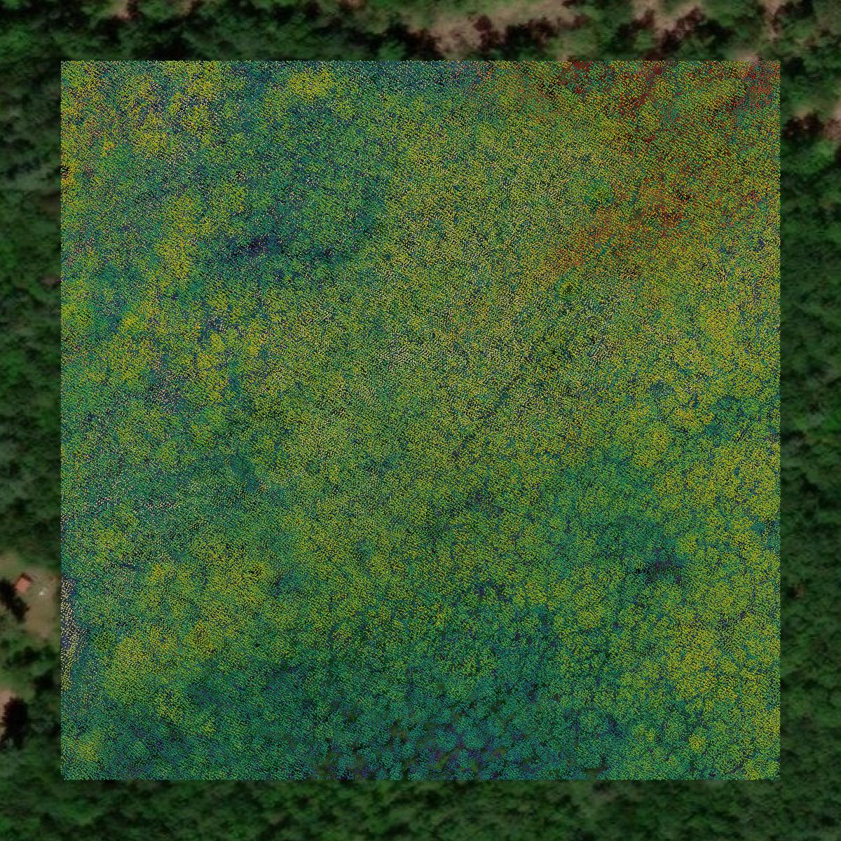 This image shows a LiDAR point cloud in Androscoggin County created using GIS data in Equator.